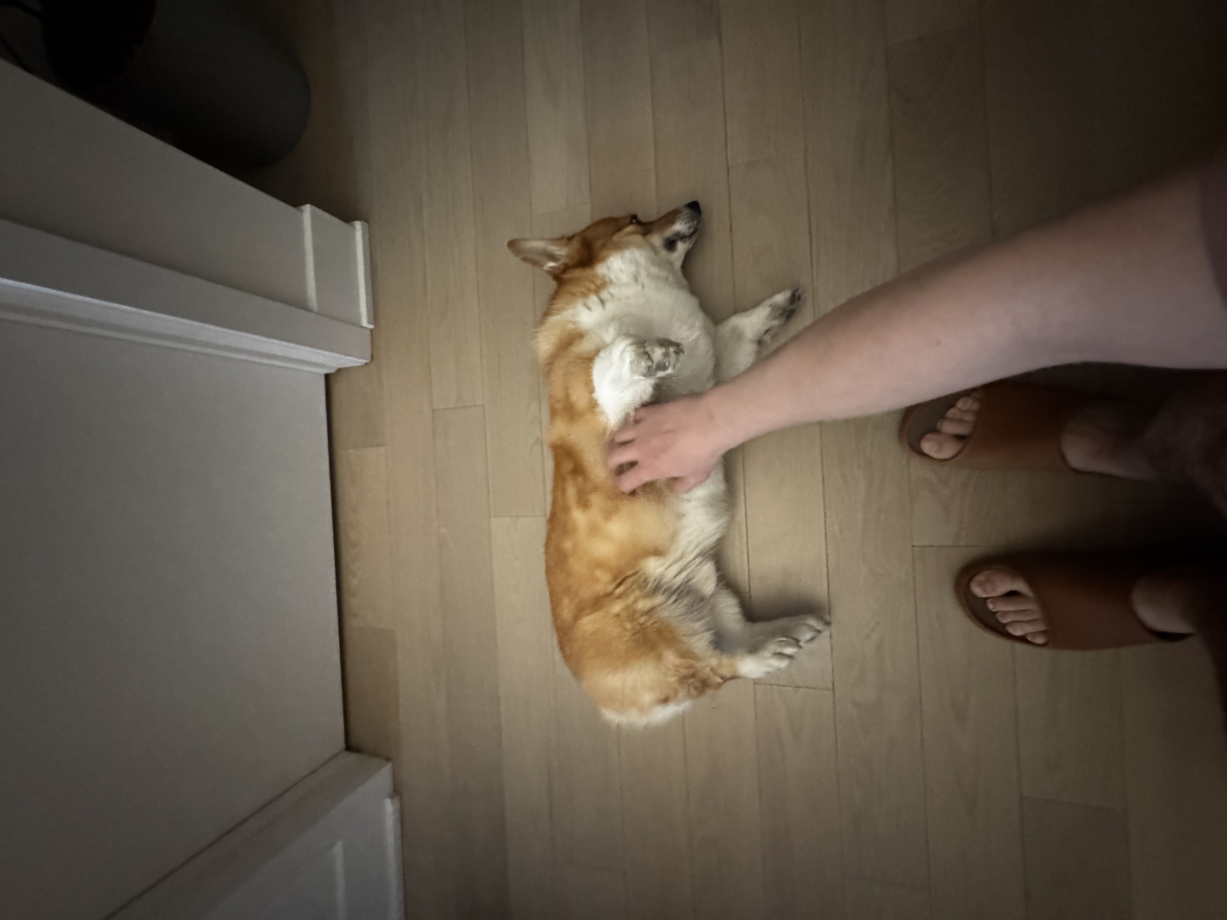 image-9