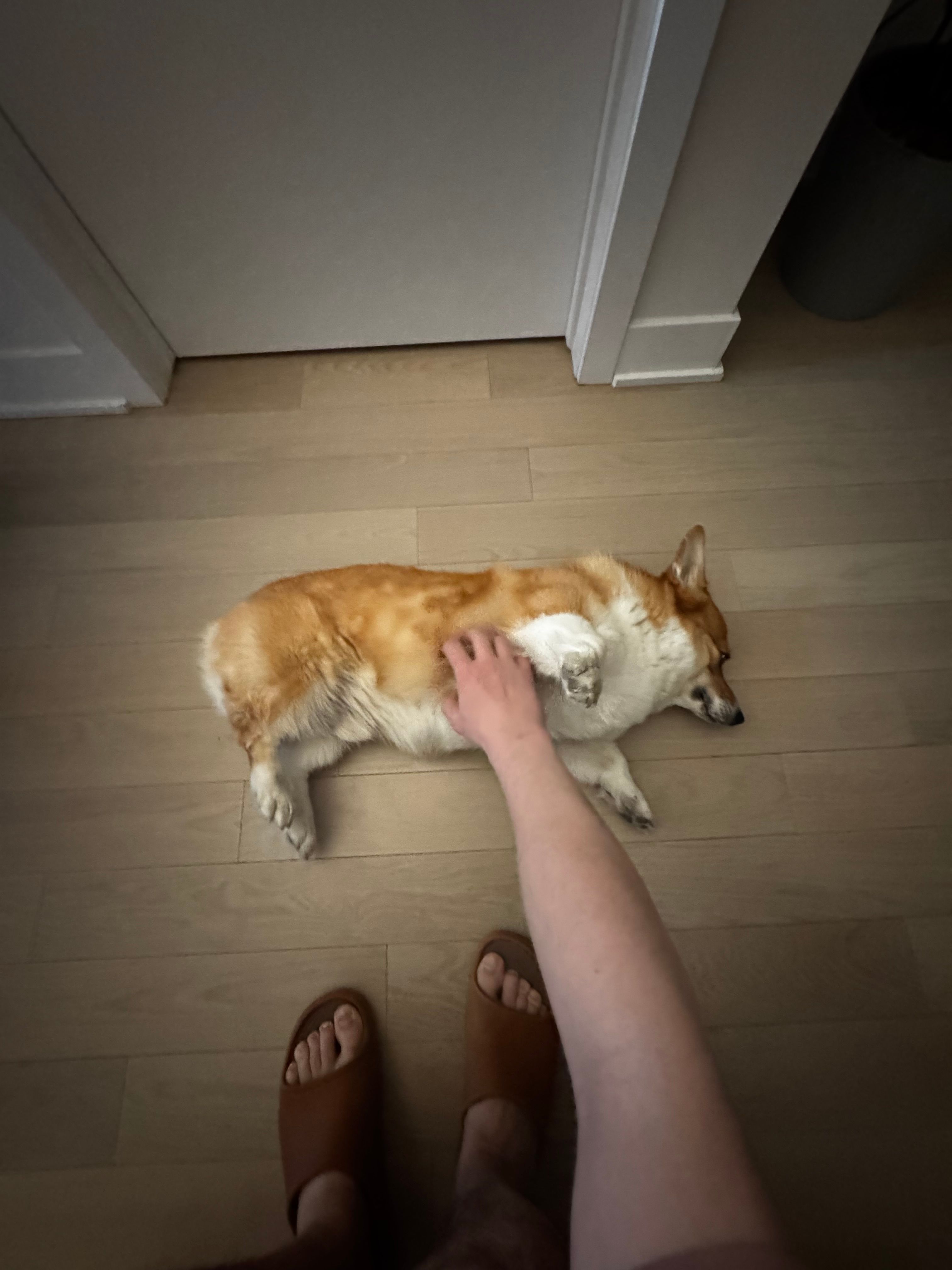 image-9