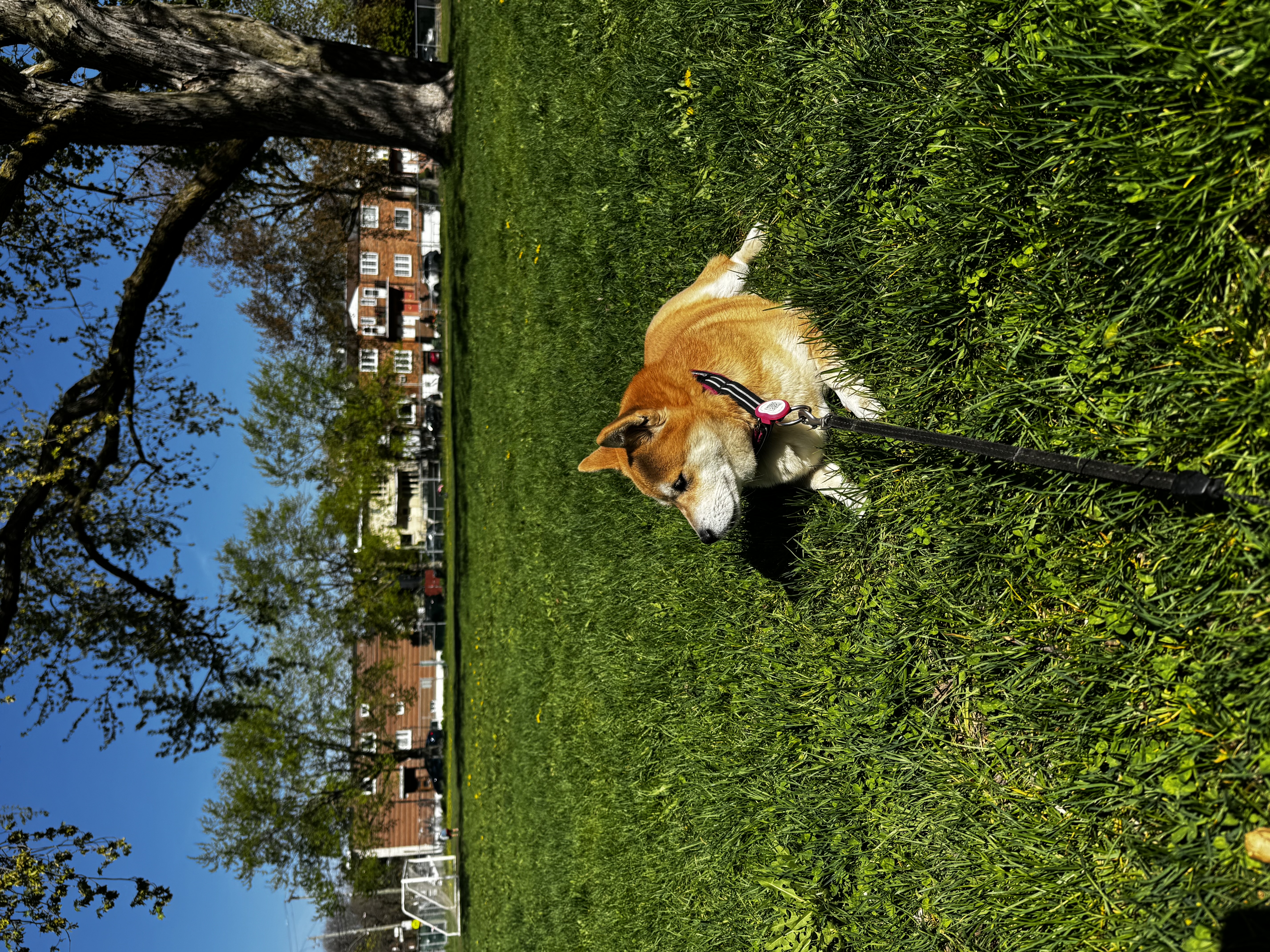 image-15