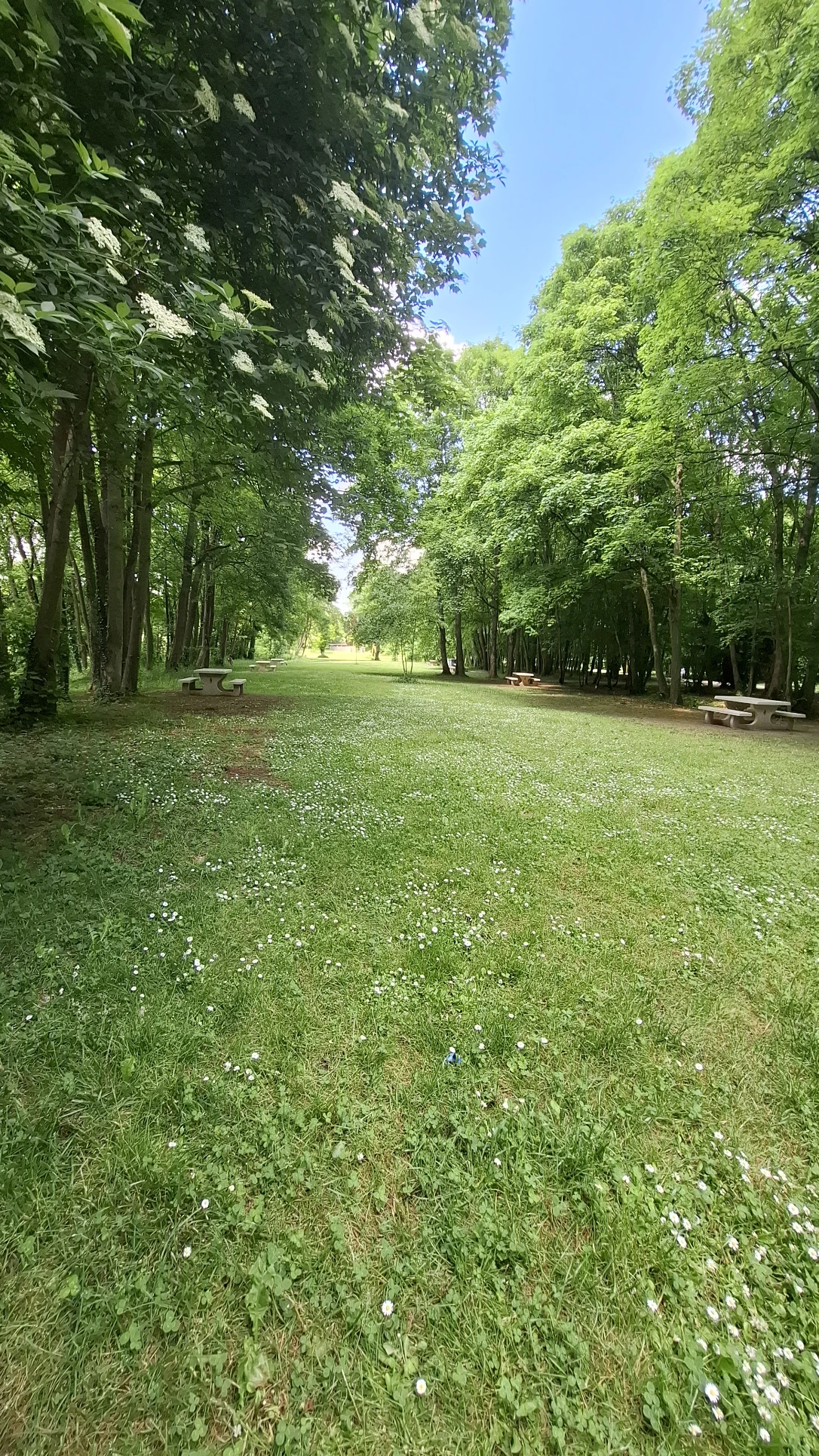 image-97