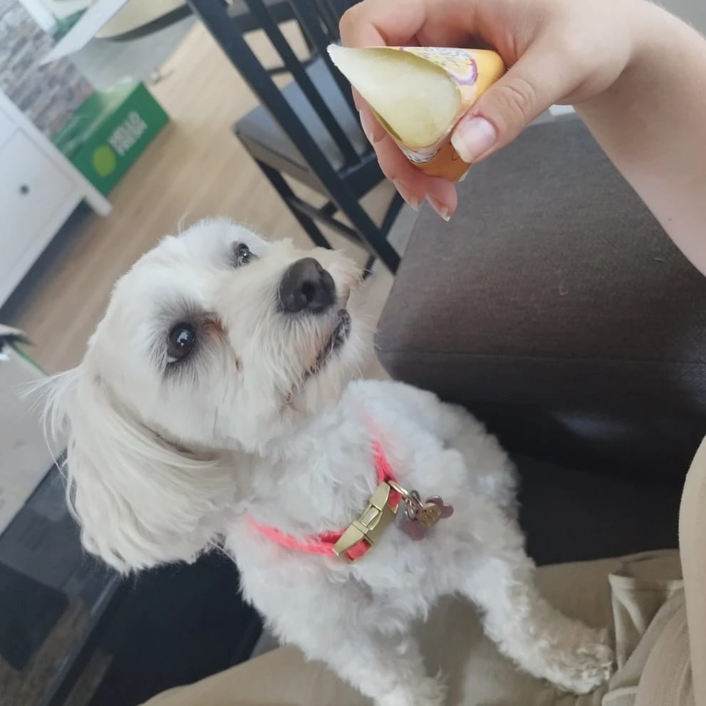 lilje