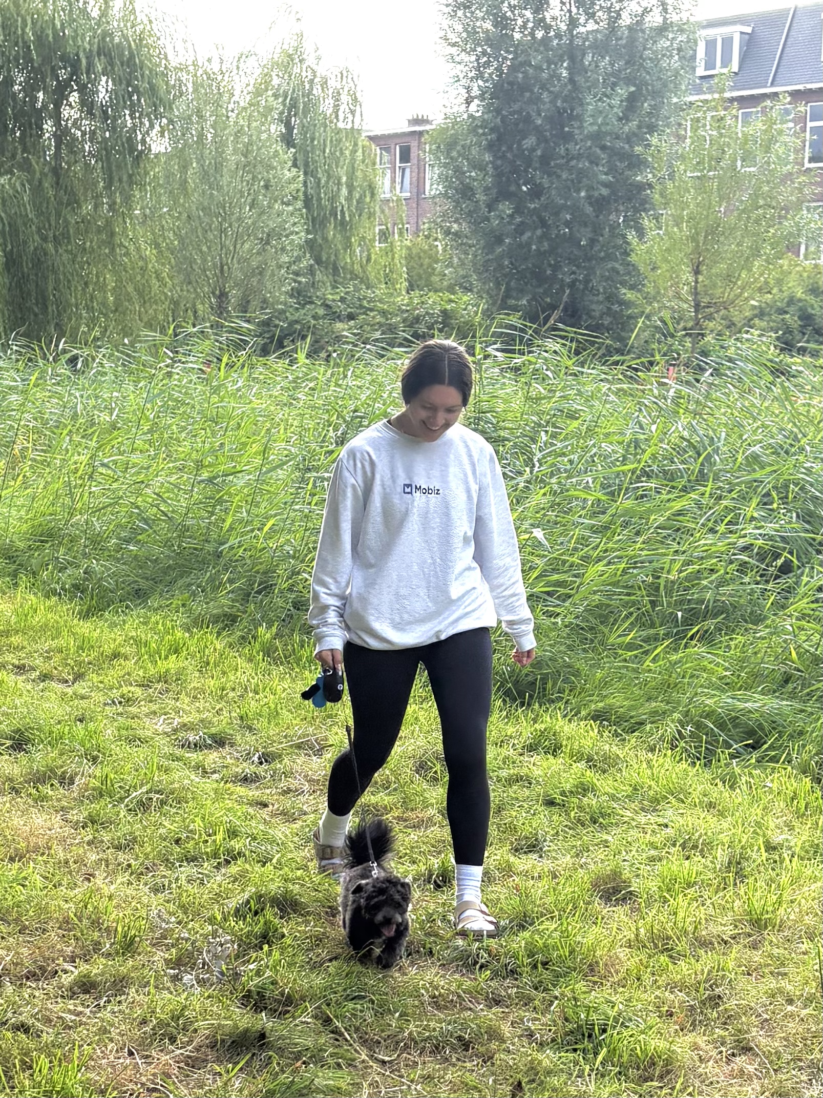 image-16