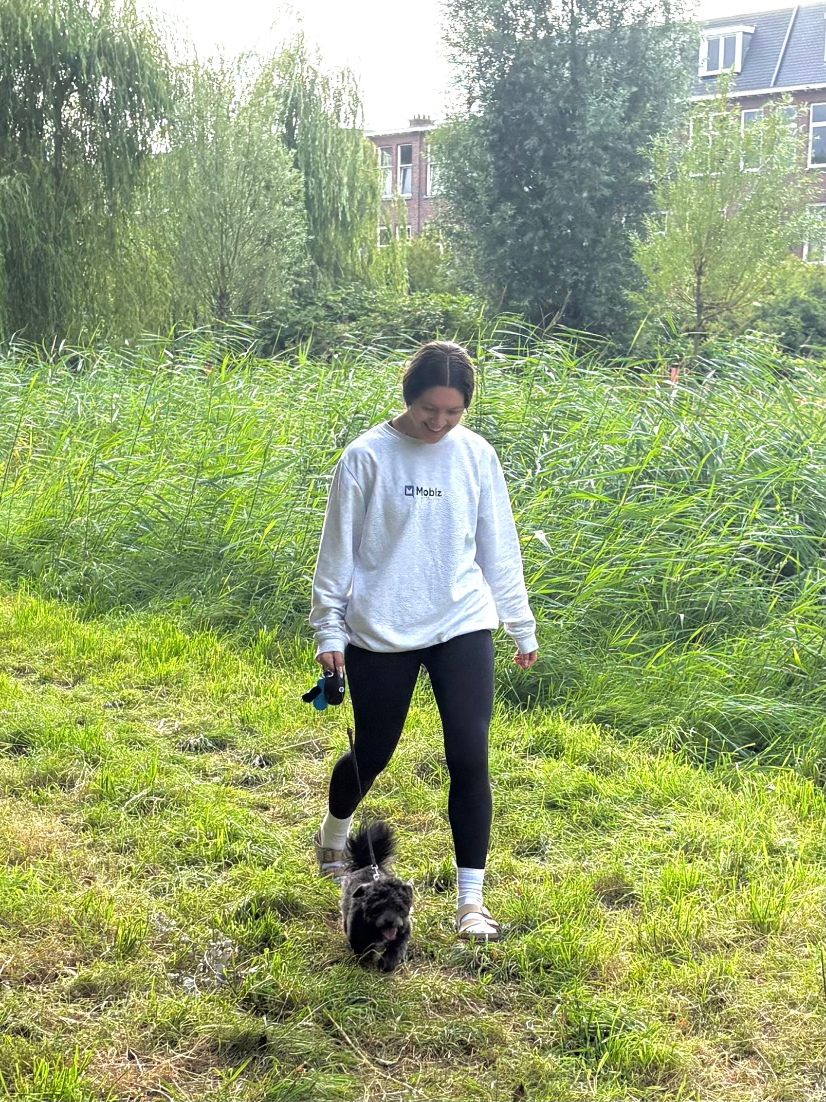 image-16