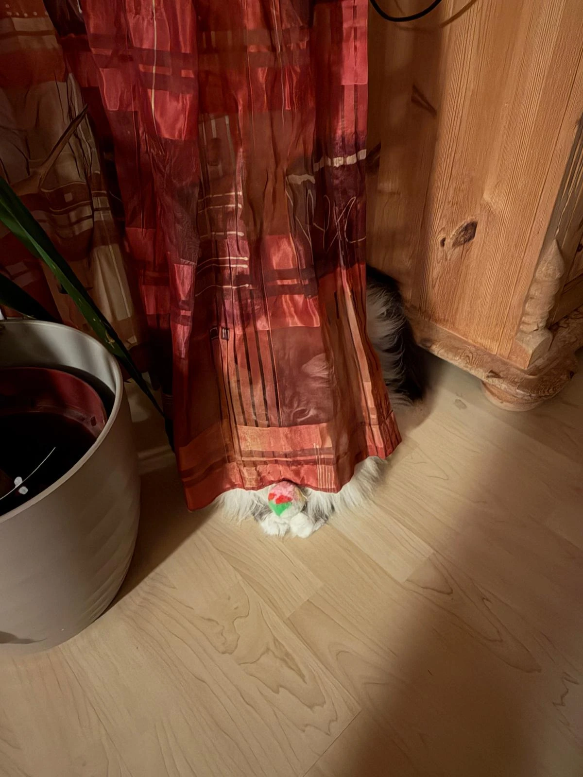 image-3