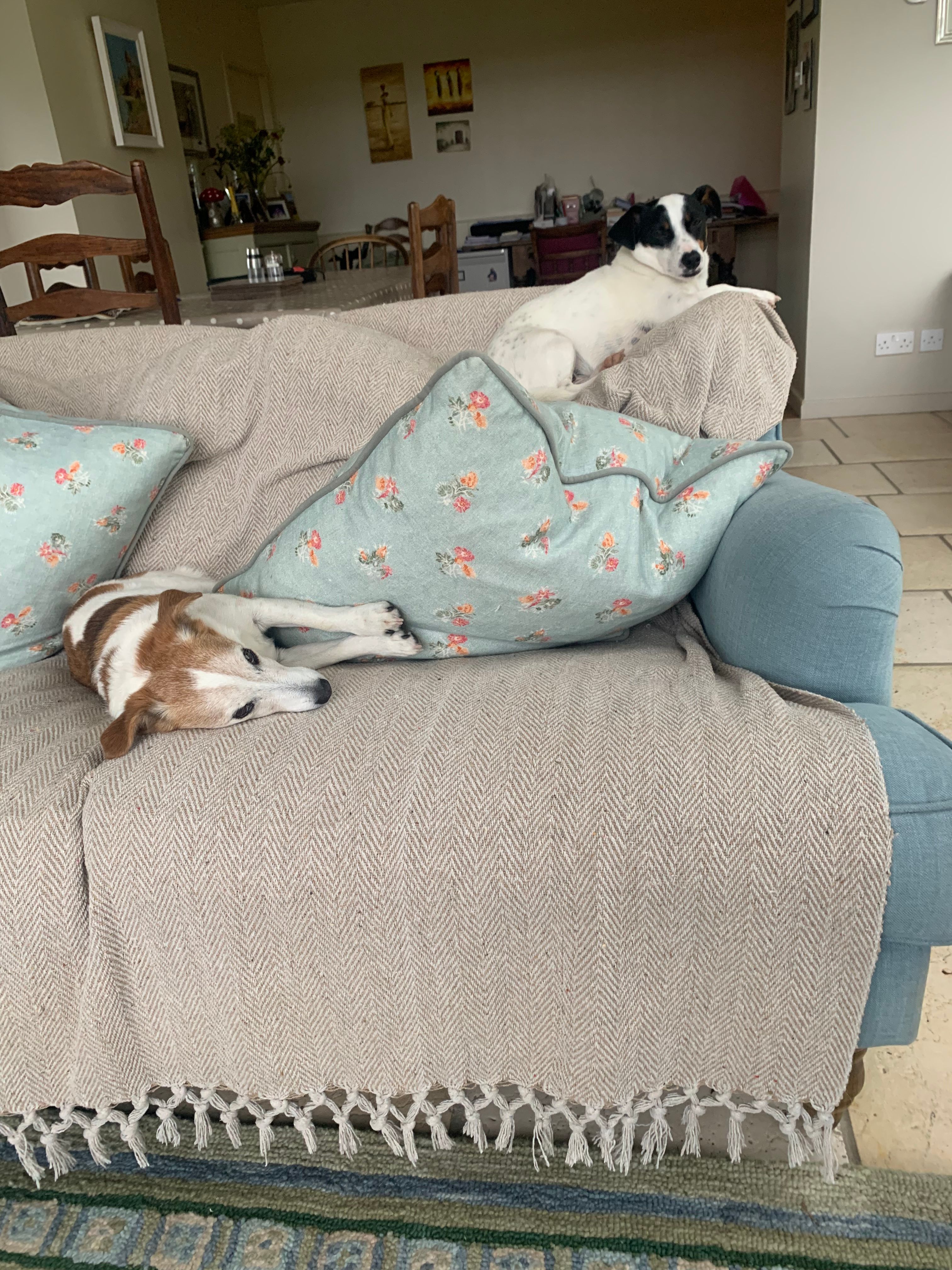 image-0