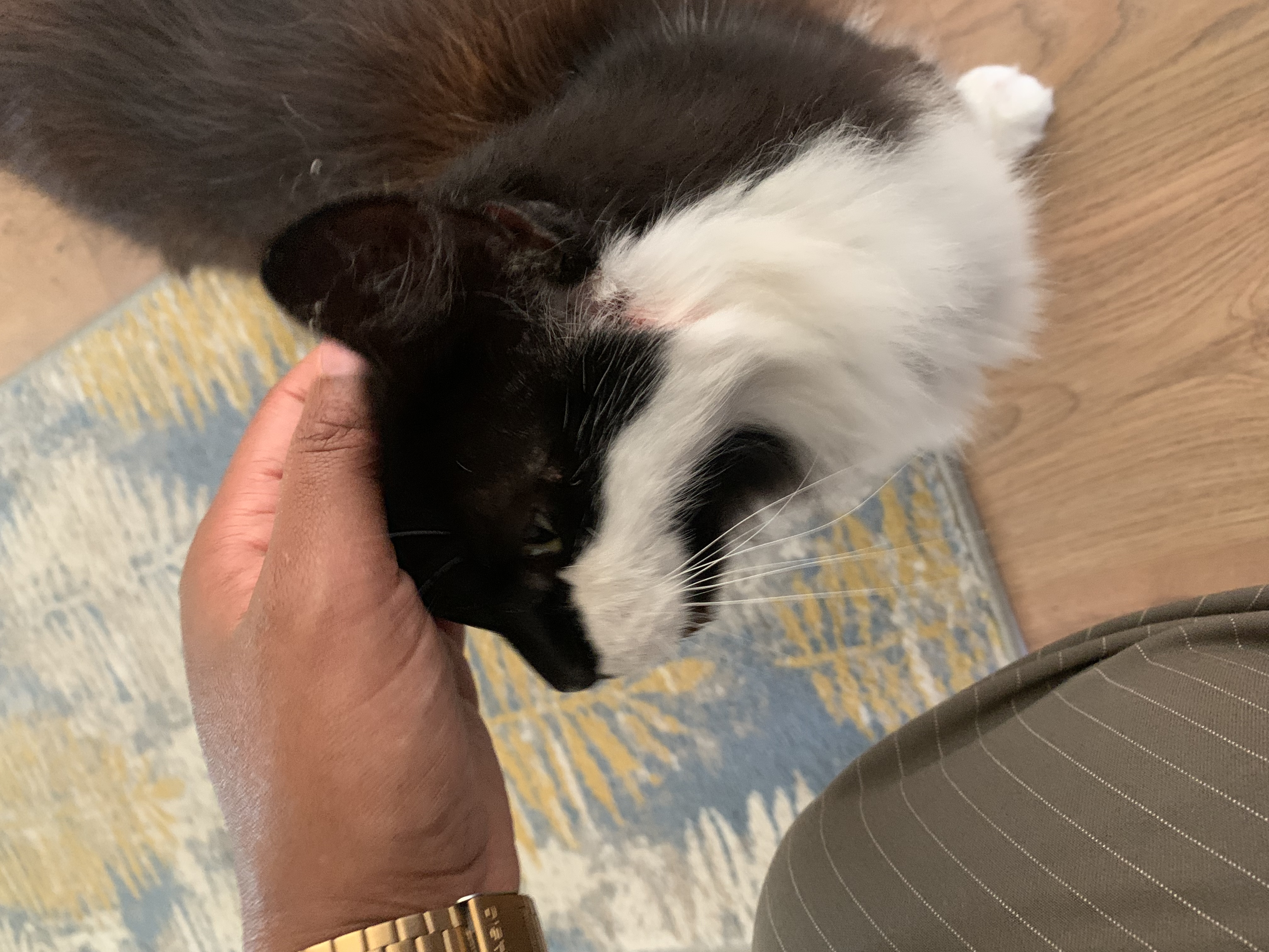 image-6