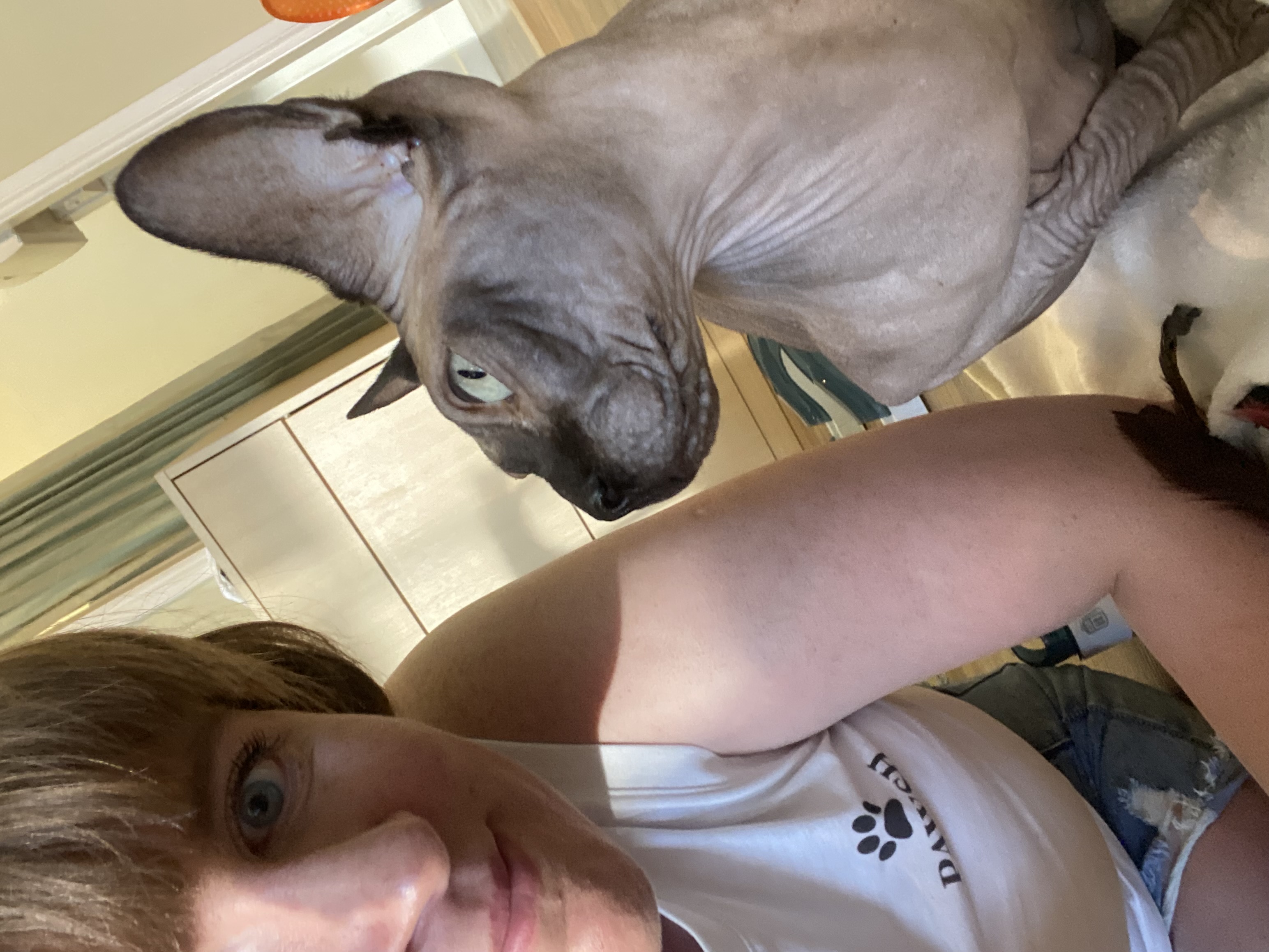 image-7