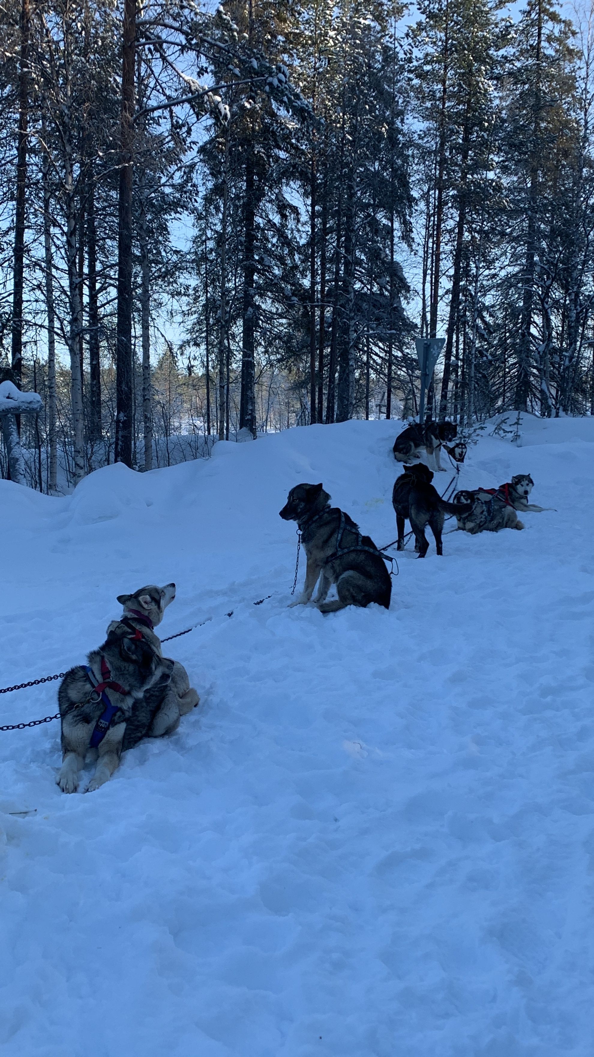 image-10
