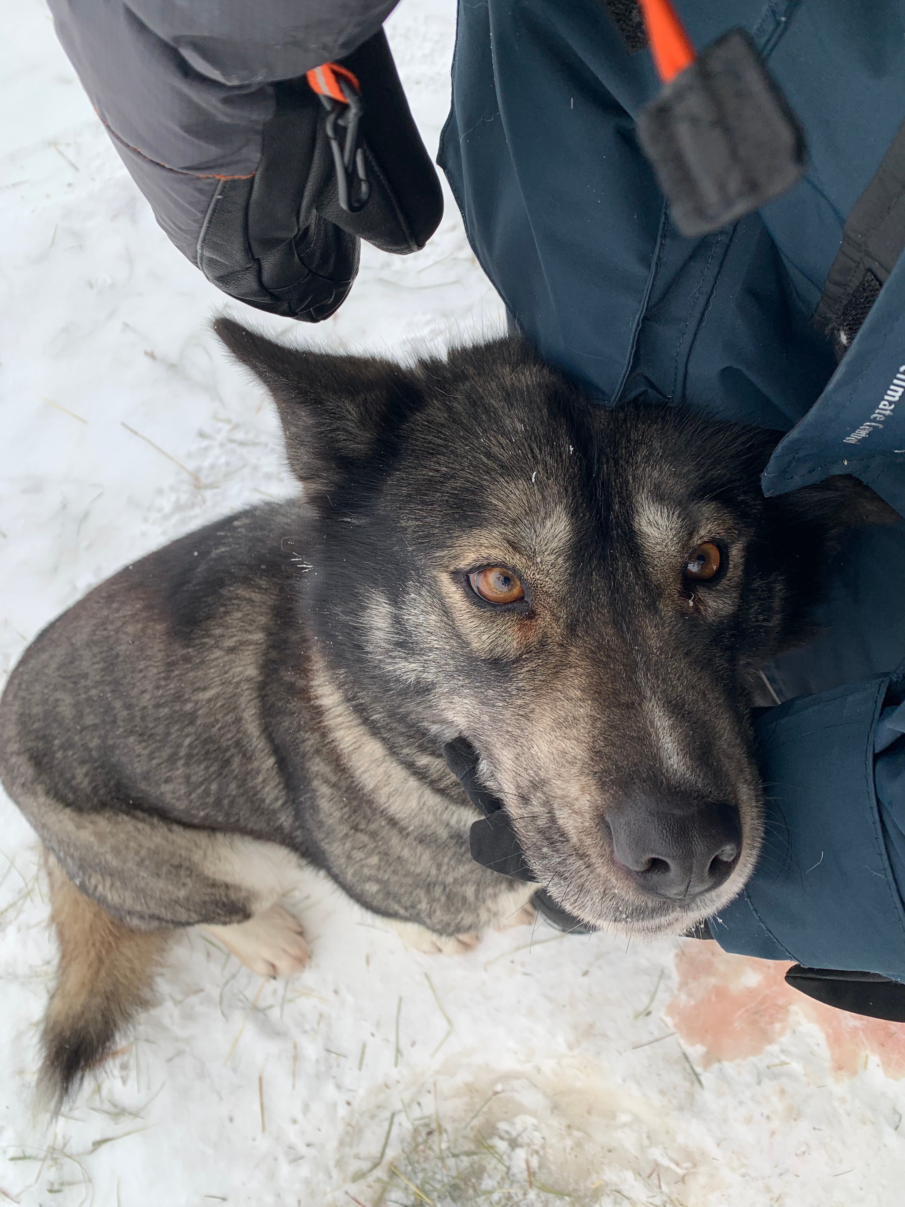 image-8