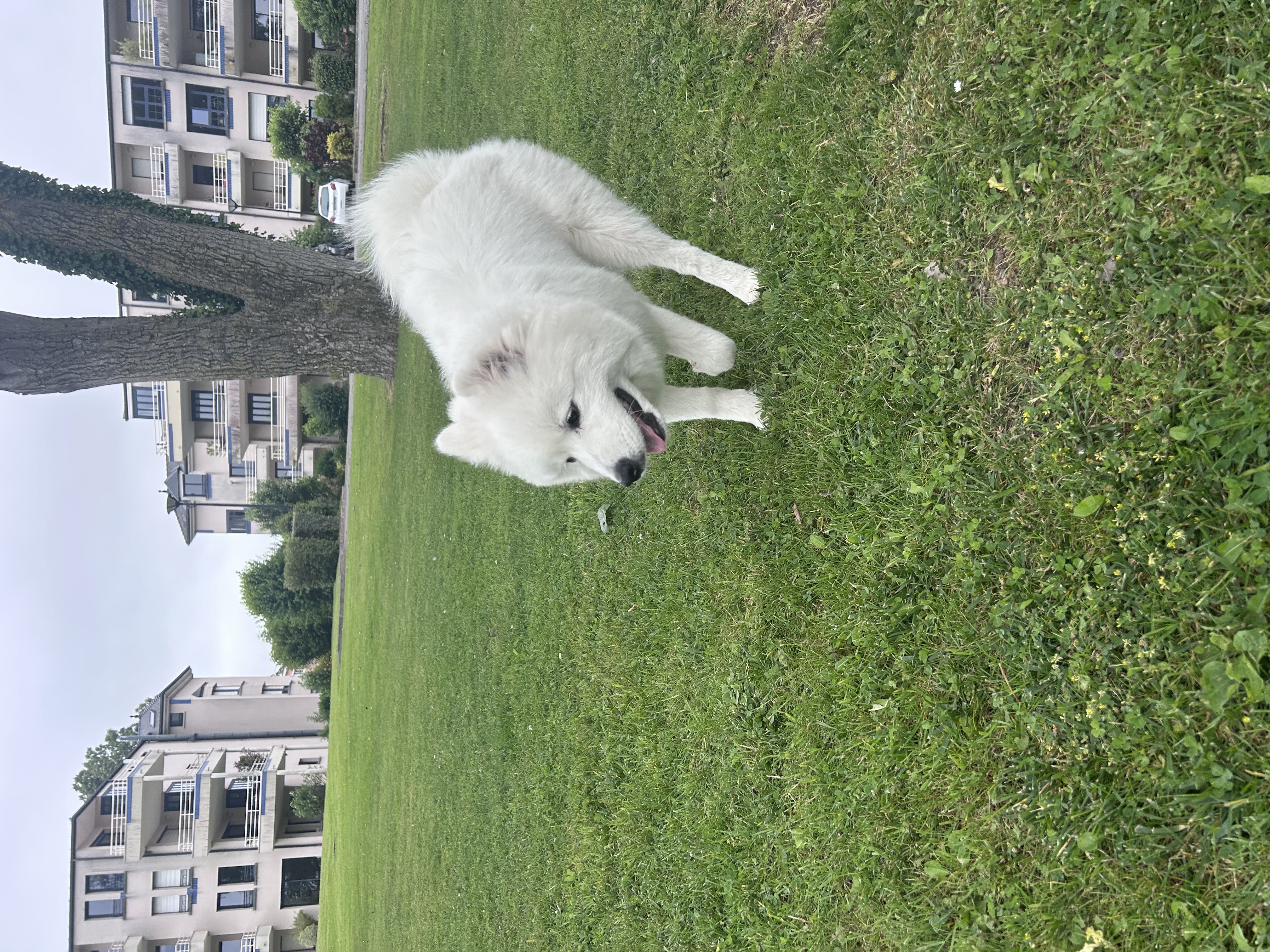 image-9