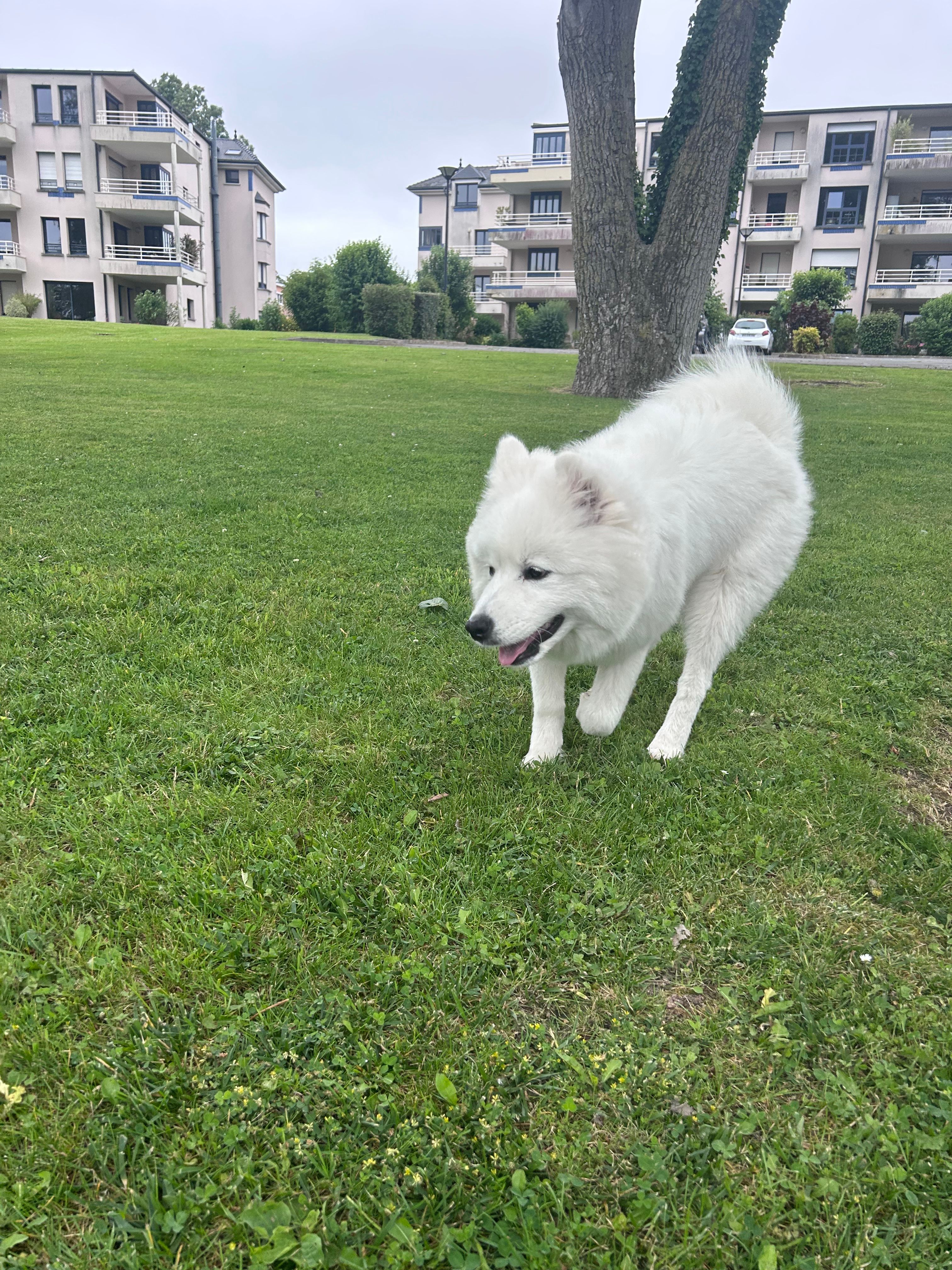 image-9