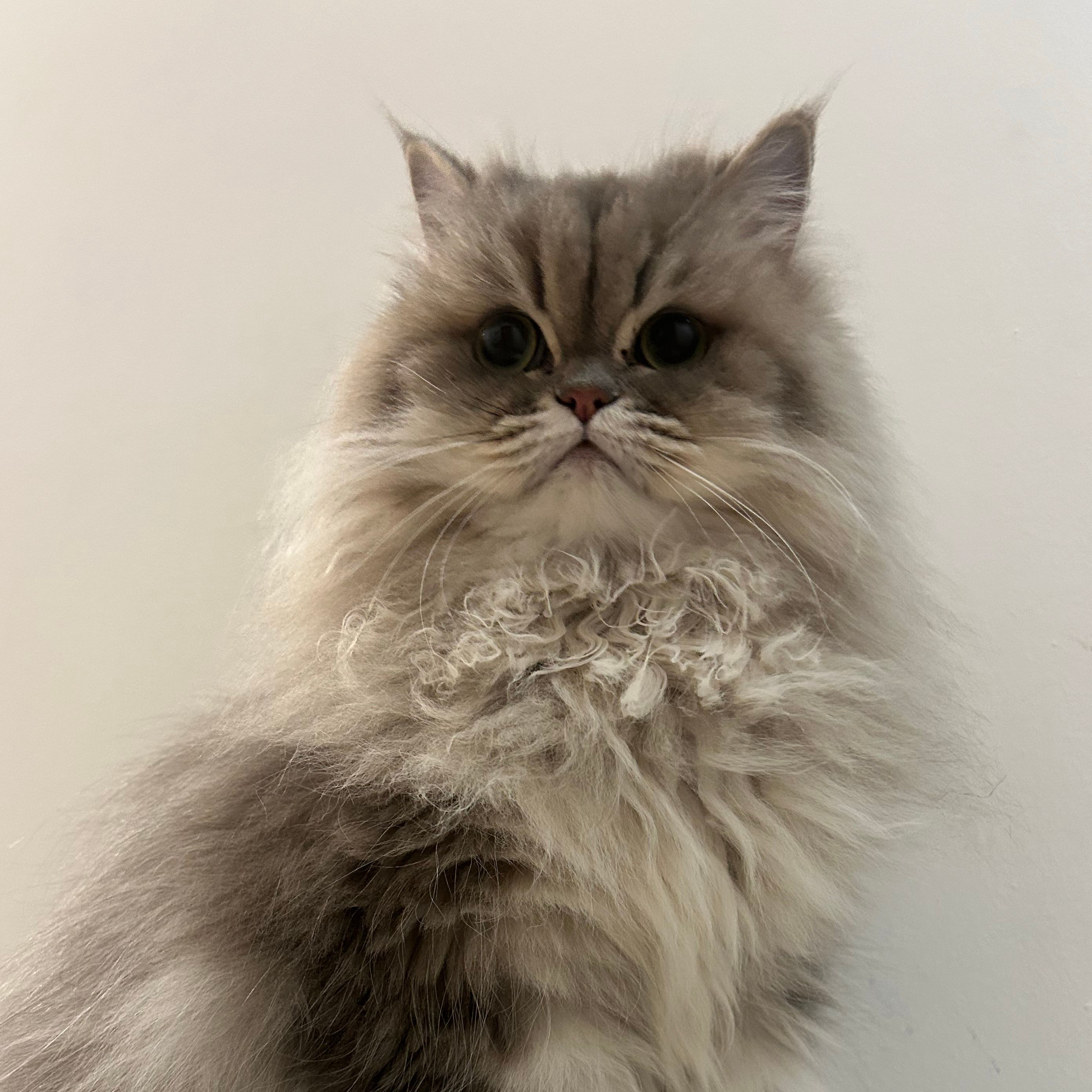 Tina