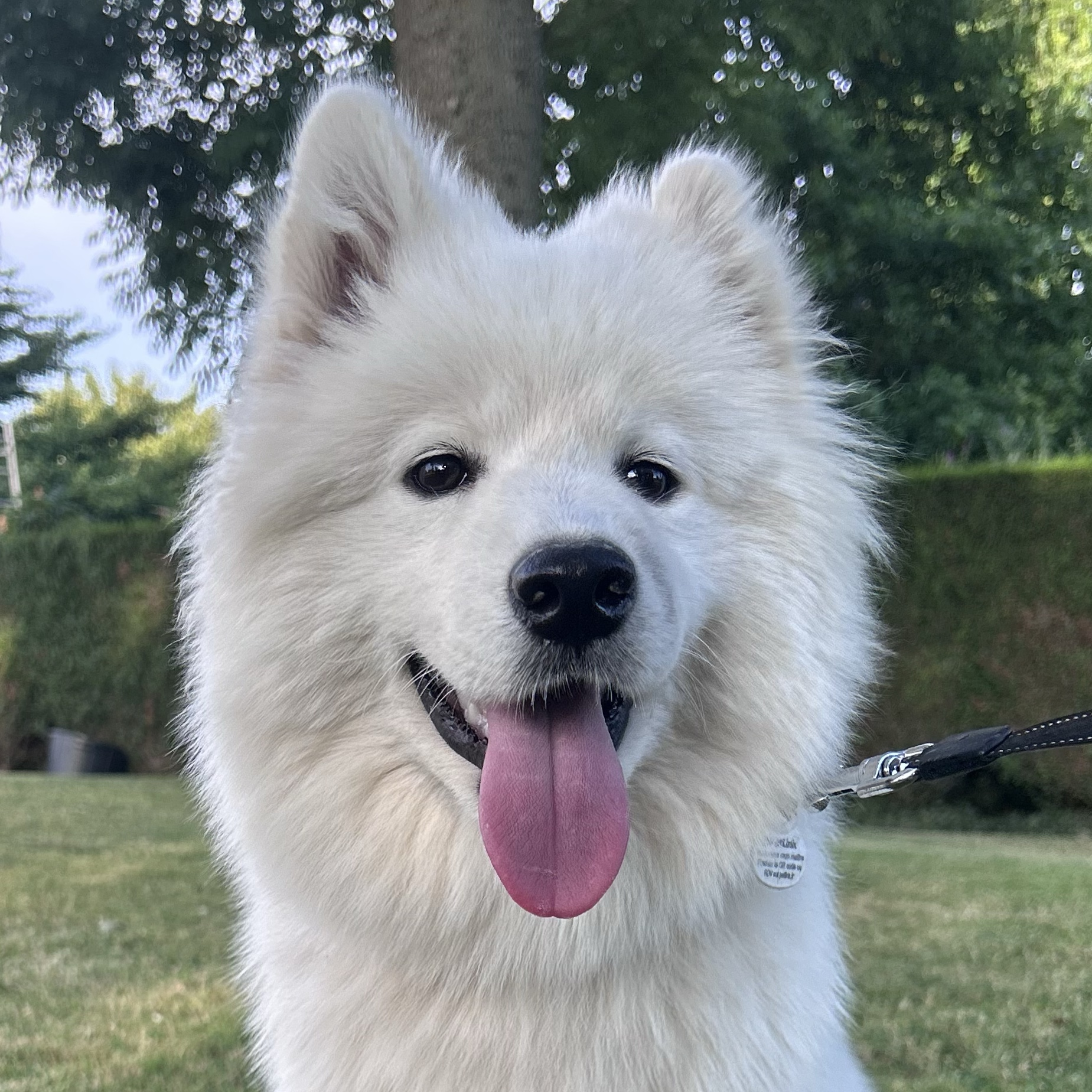 Abby