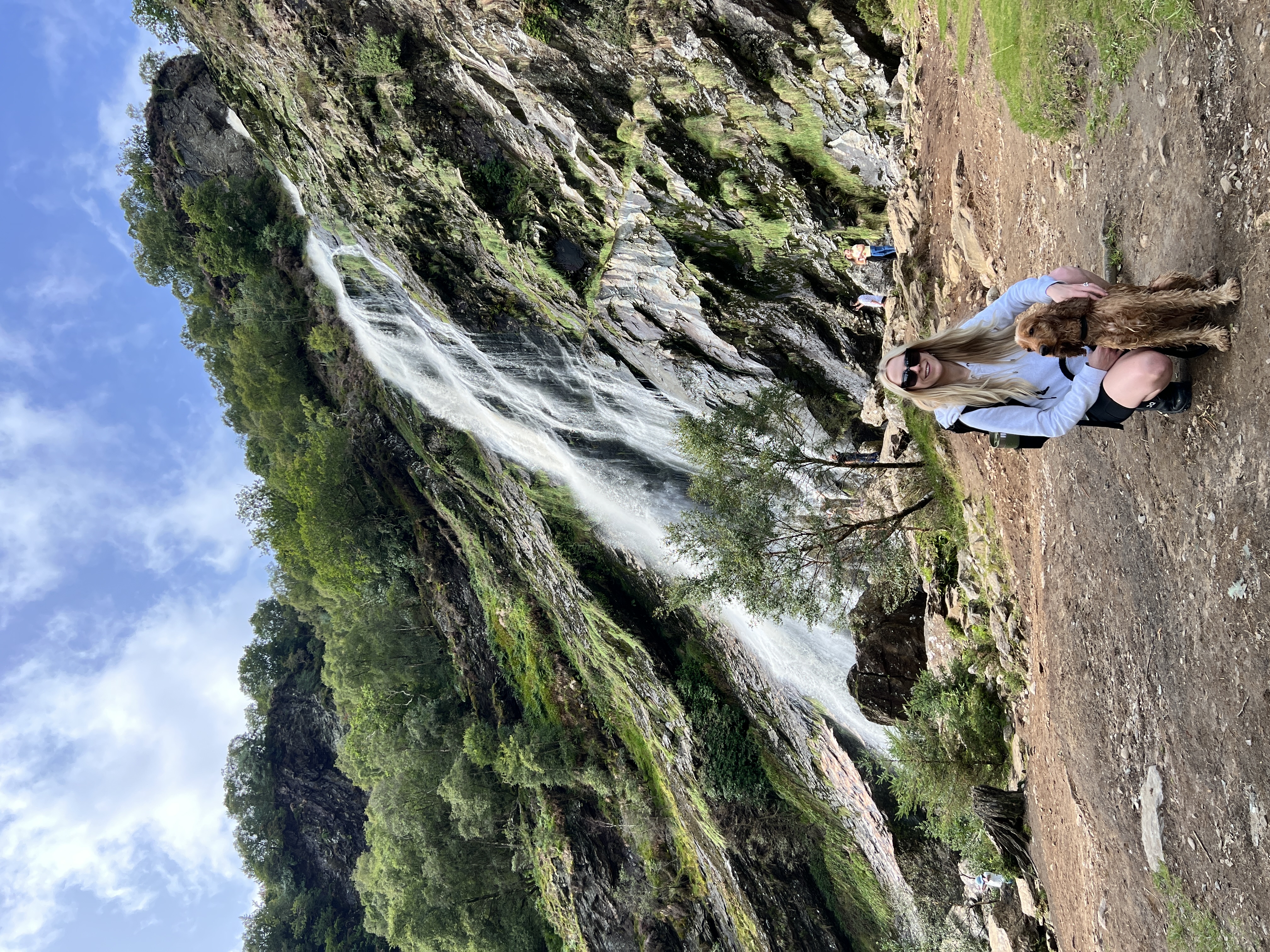 image-10