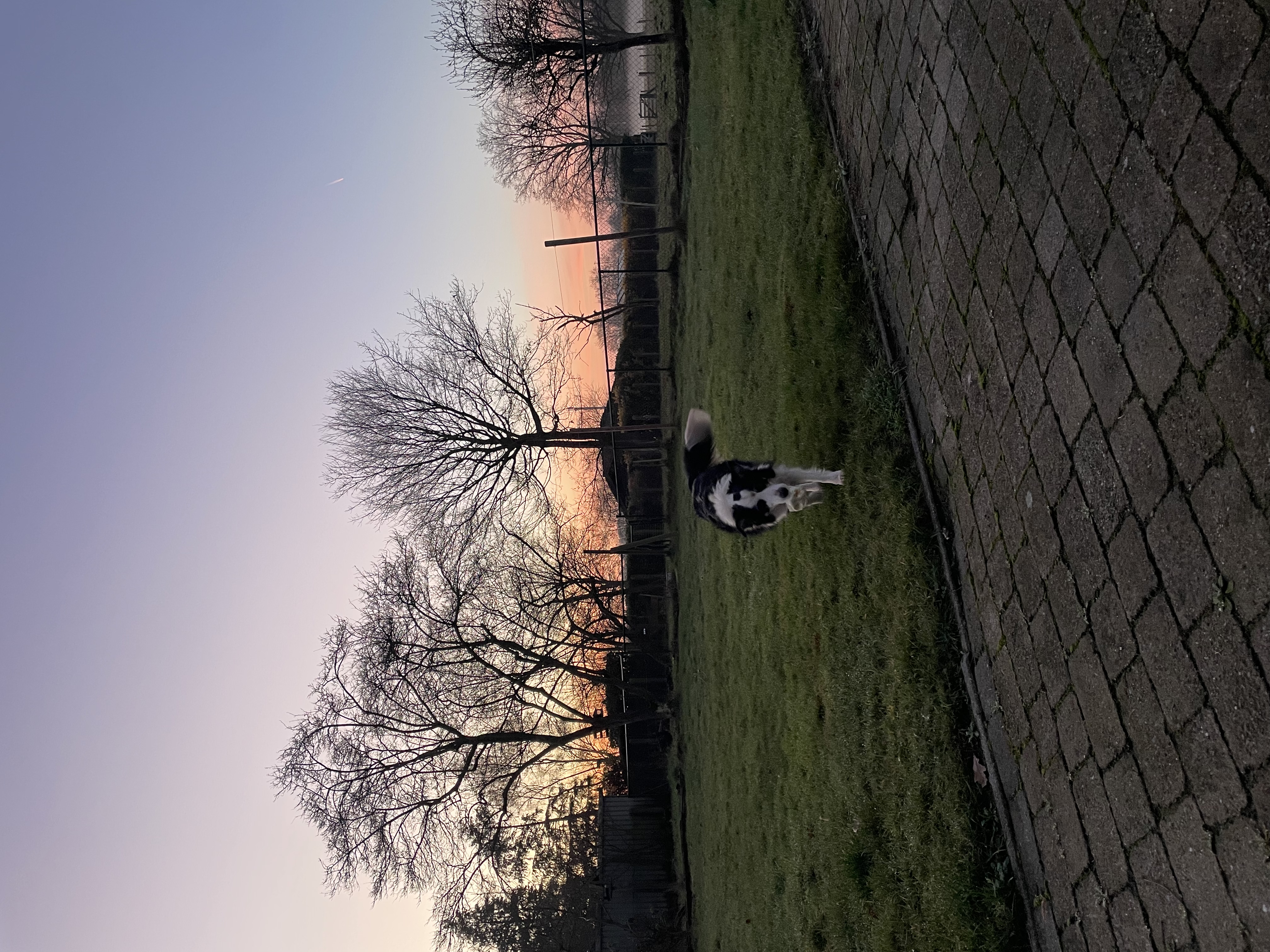 image-10