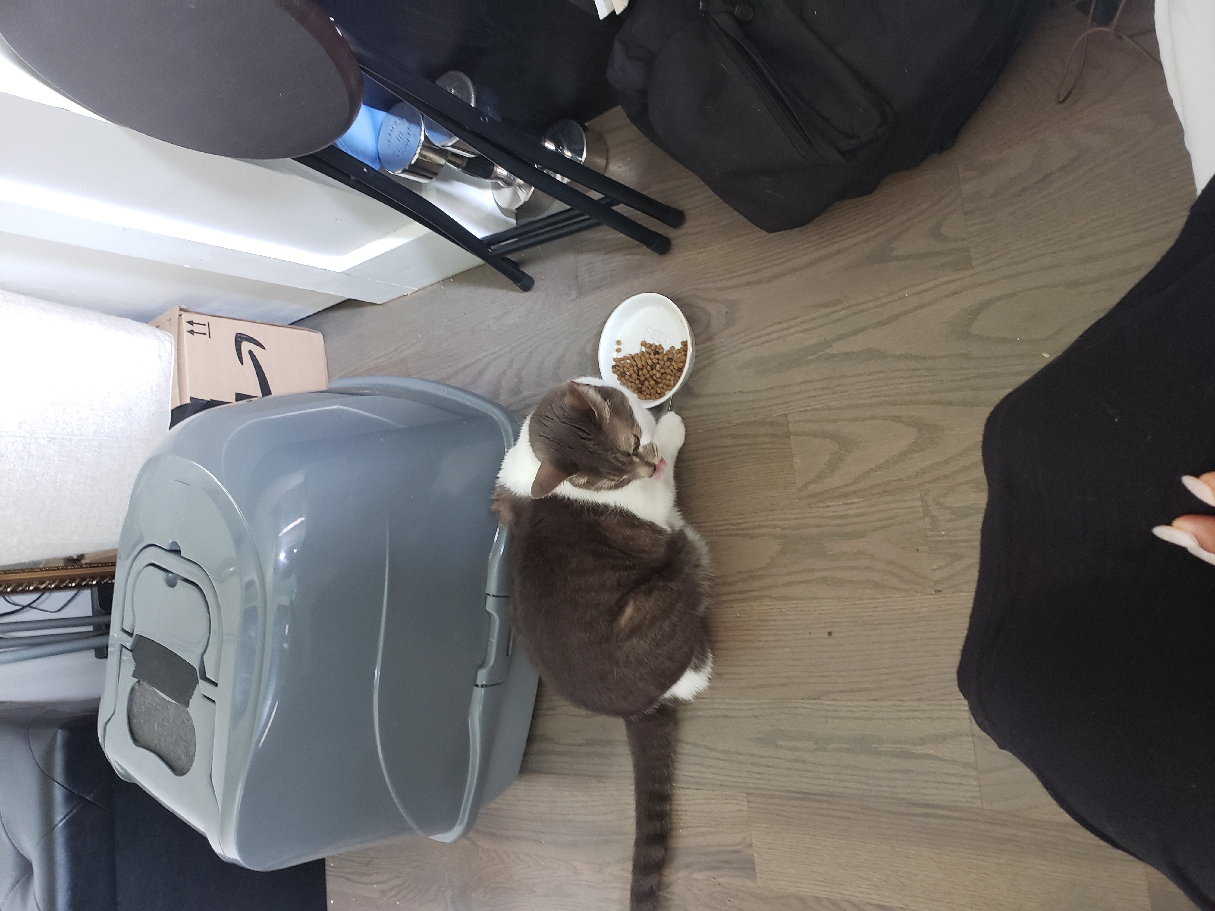 image-14