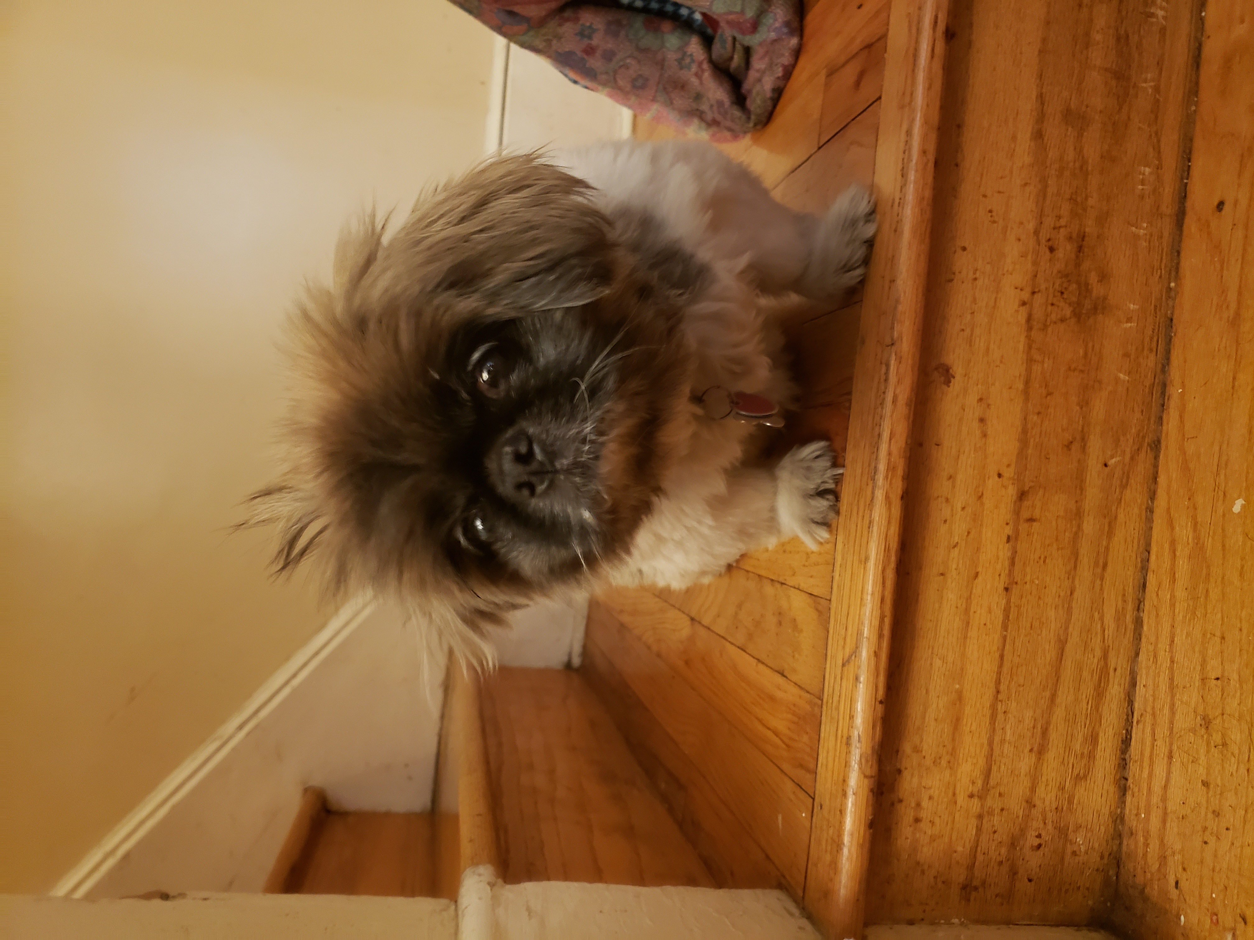 image-8