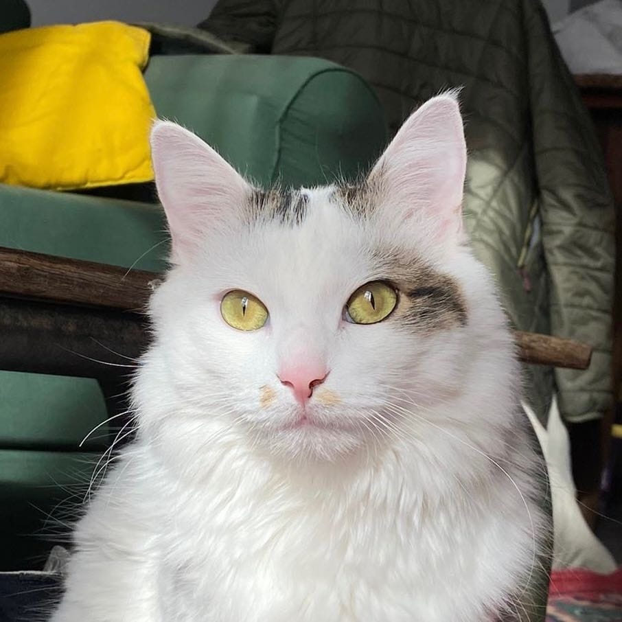 Edmund