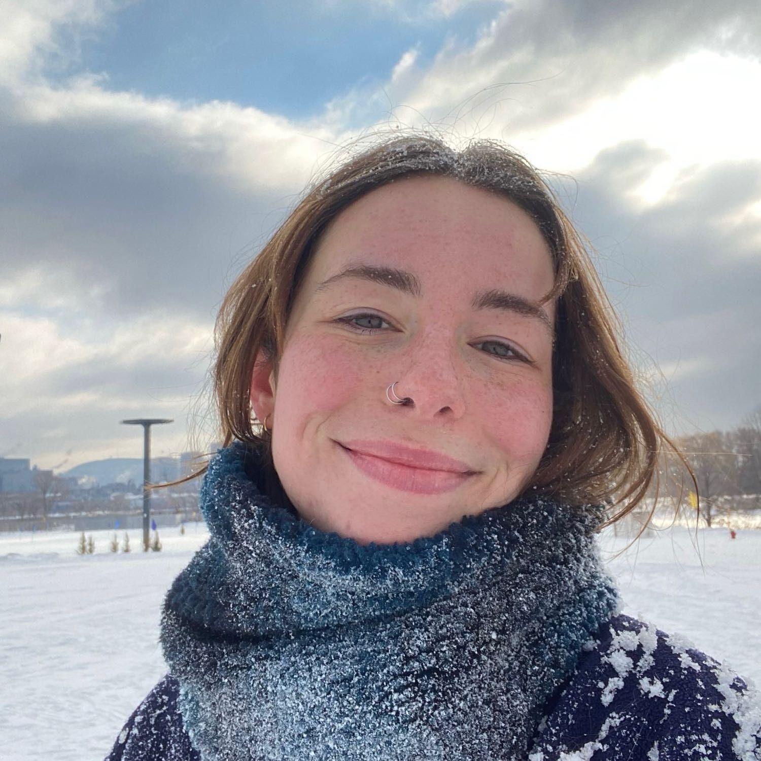 Elisa