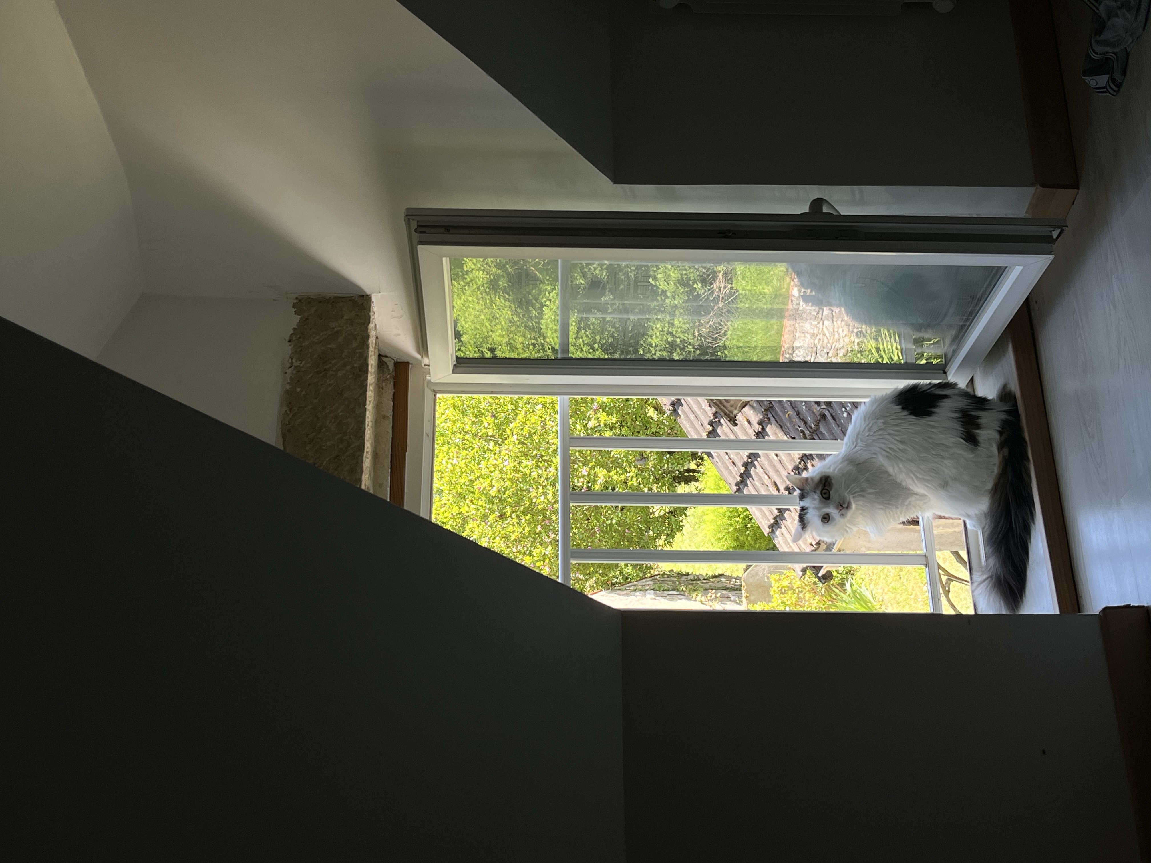 image-9