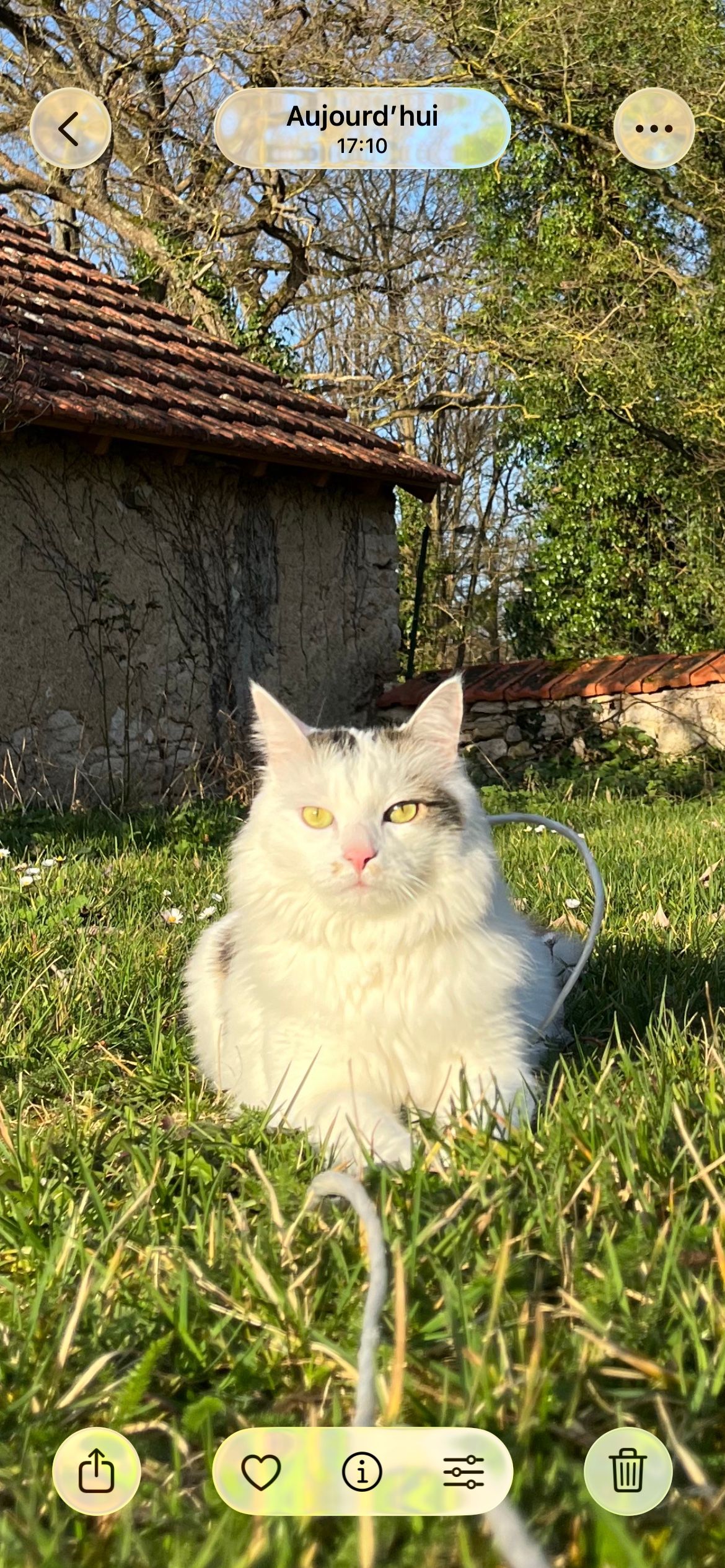 image-11