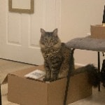 Gary