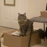 Gary