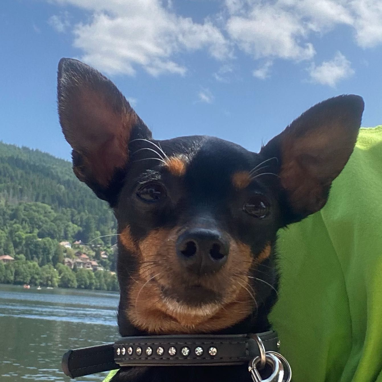 Bijou