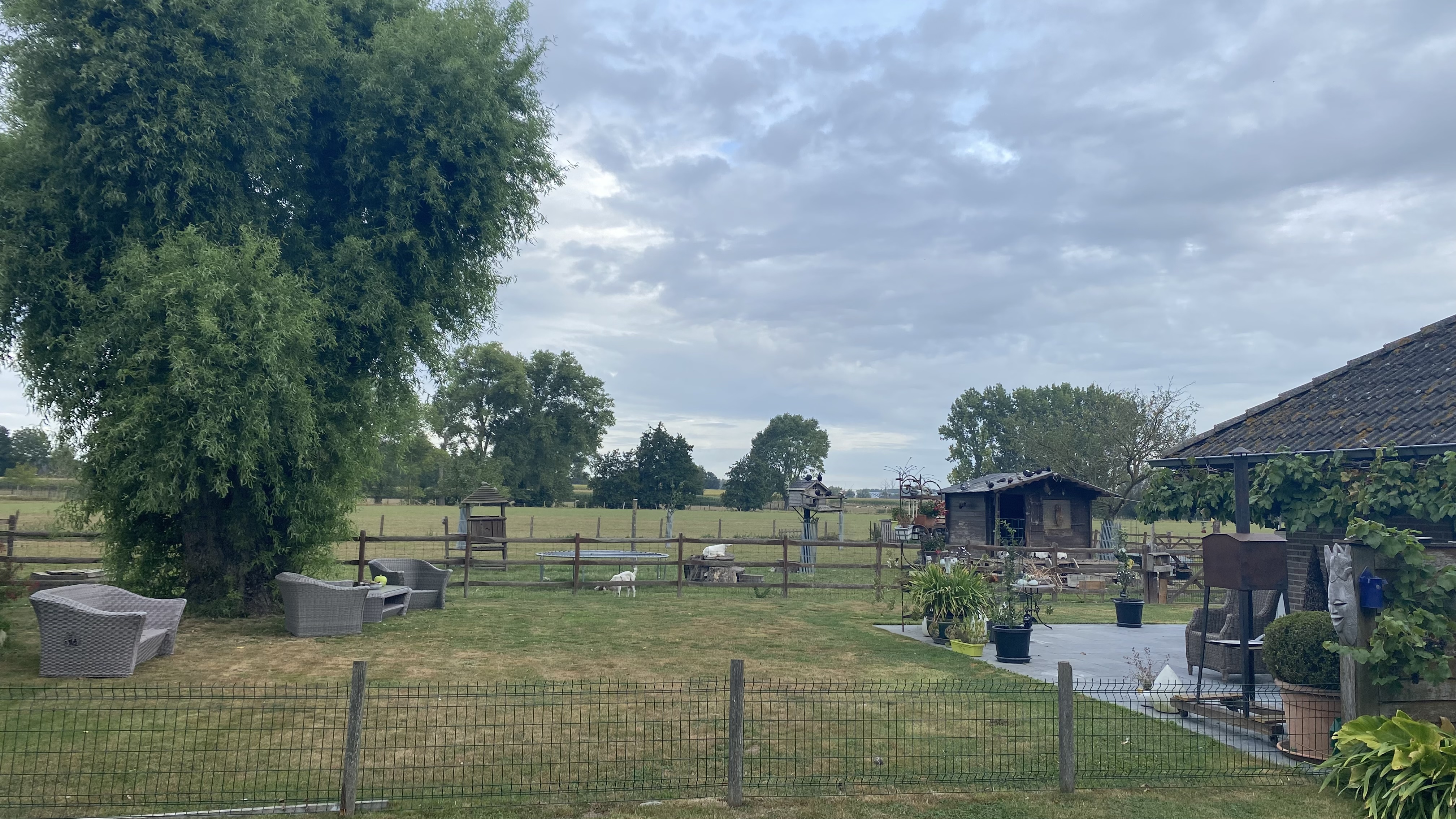 image-21