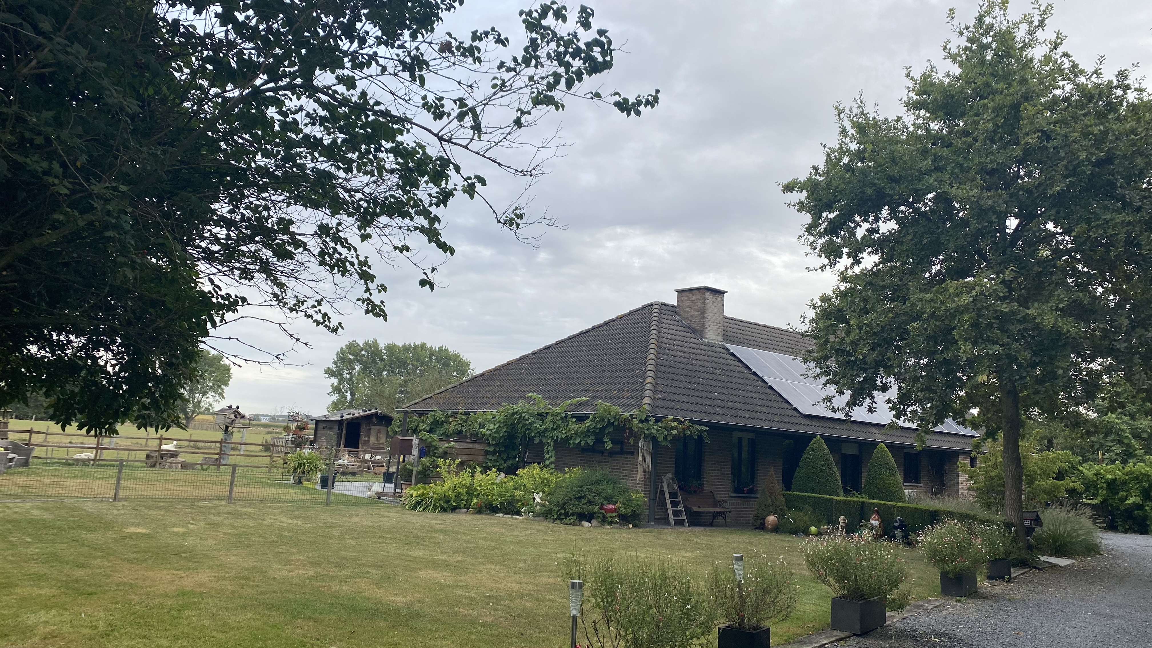 image-23