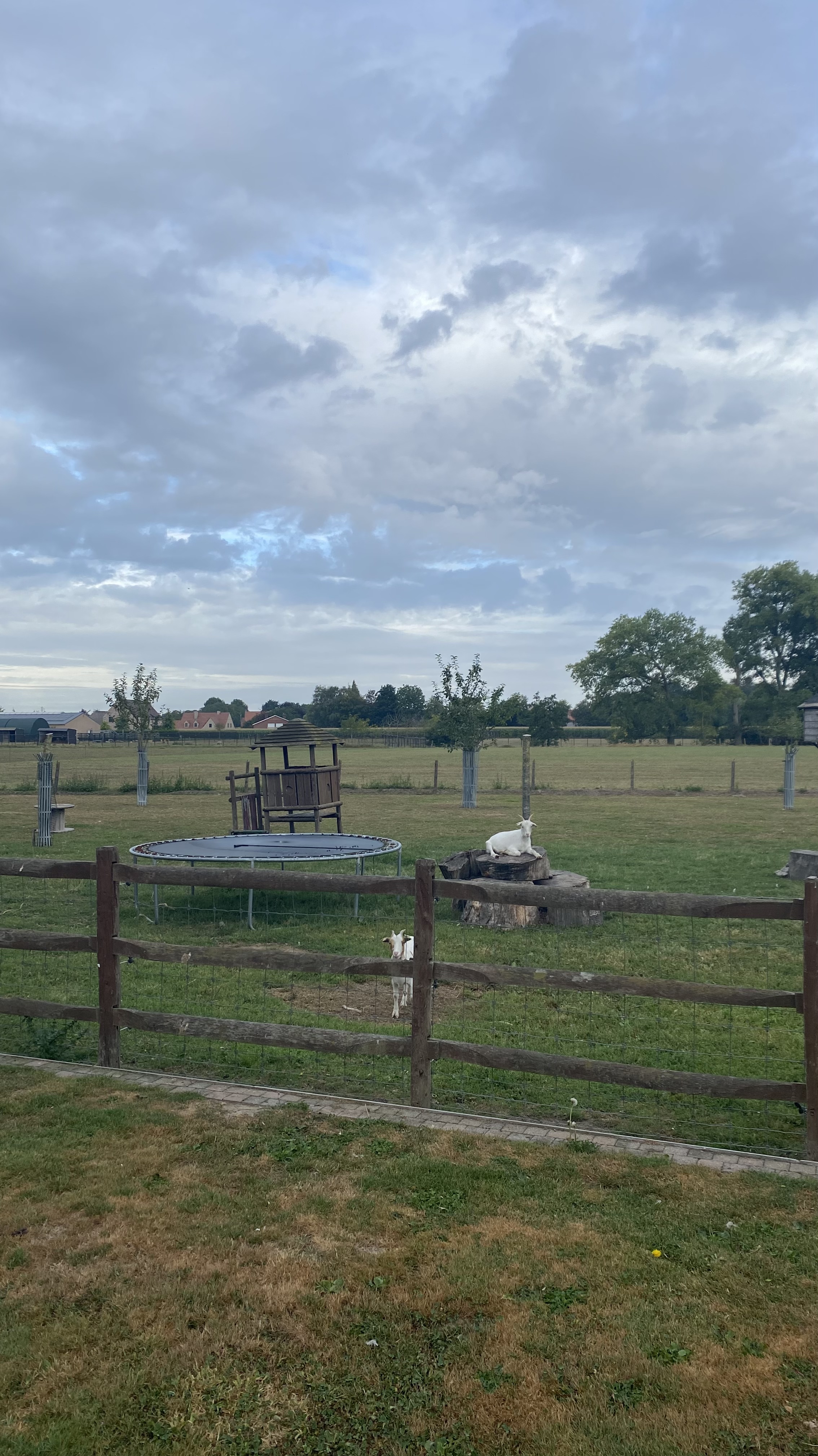 image-24