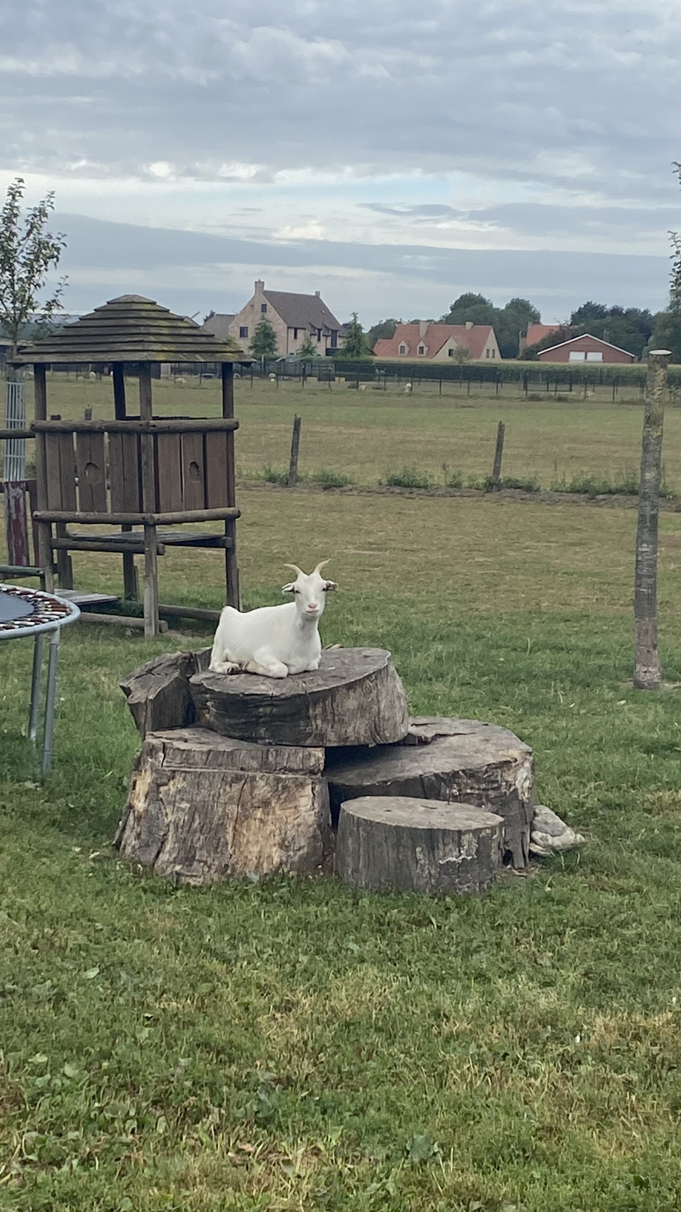 image-28