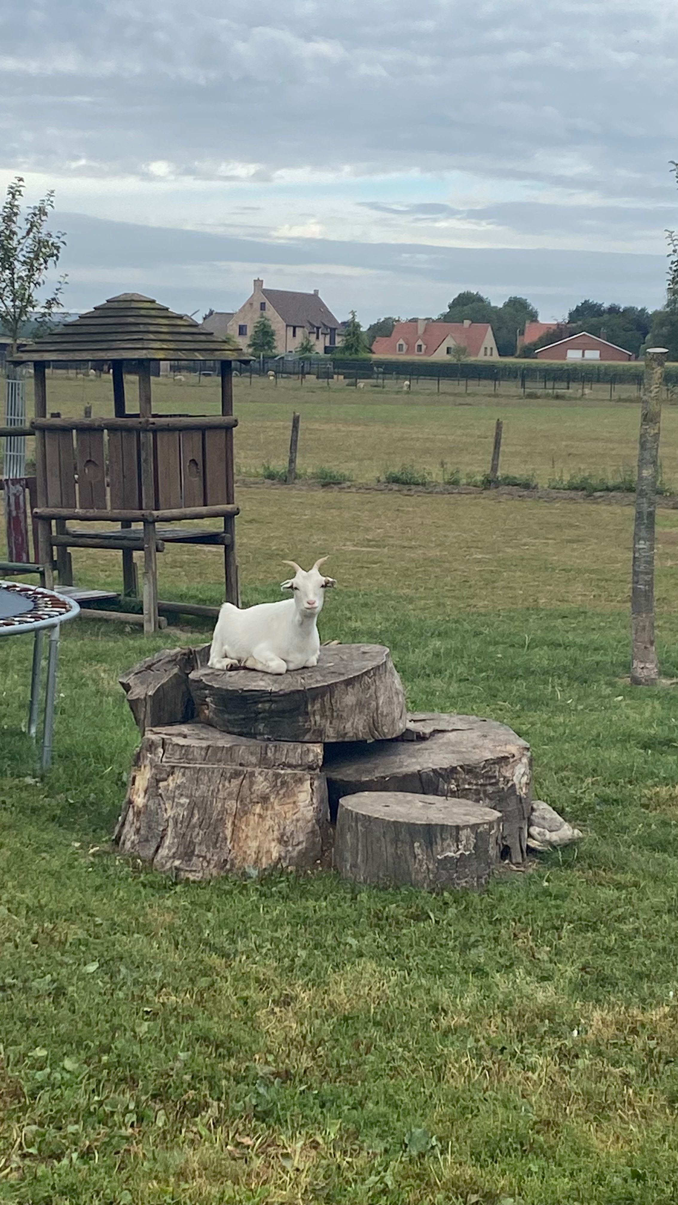 image-28
