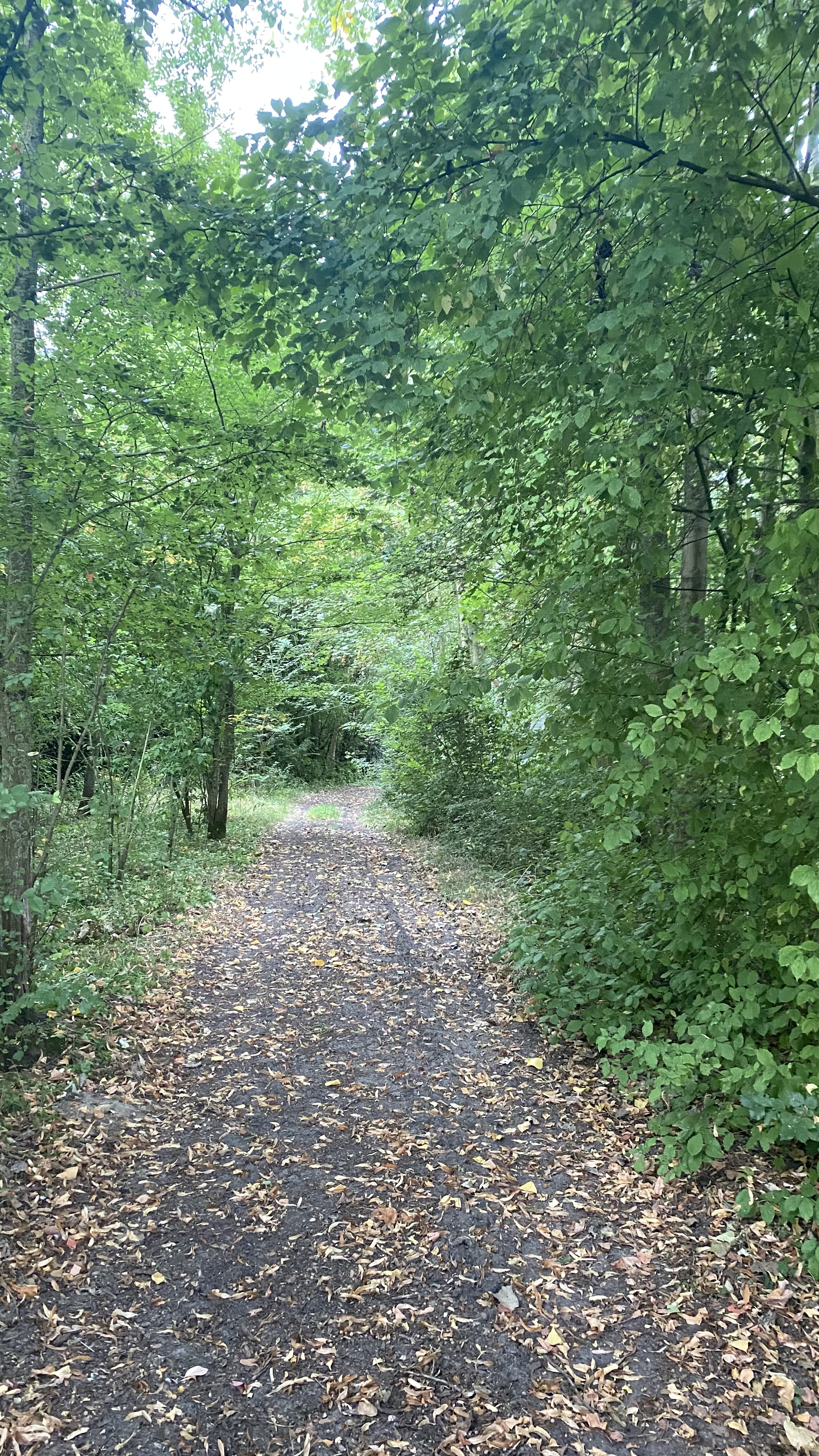 image-25