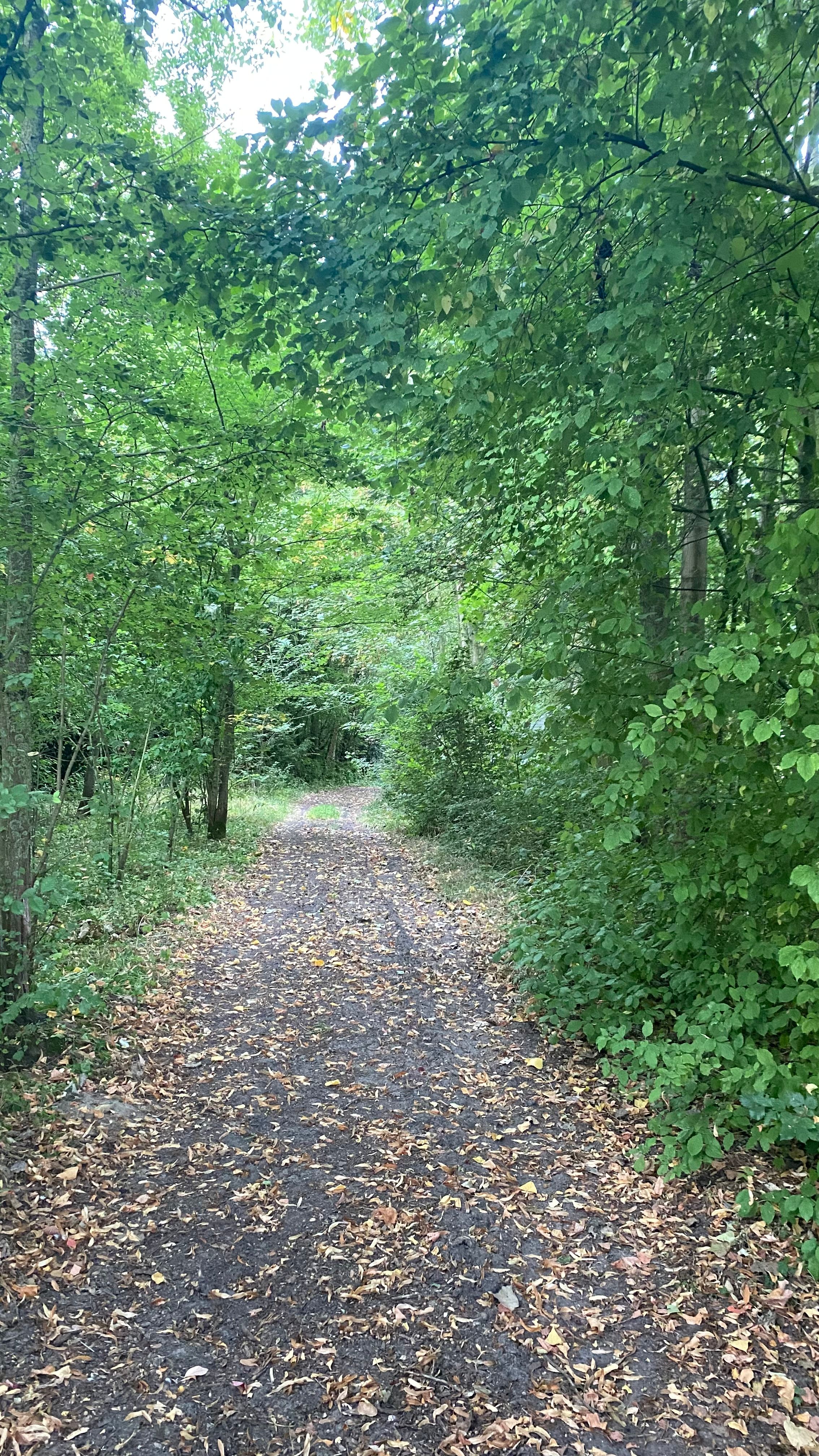 image-25