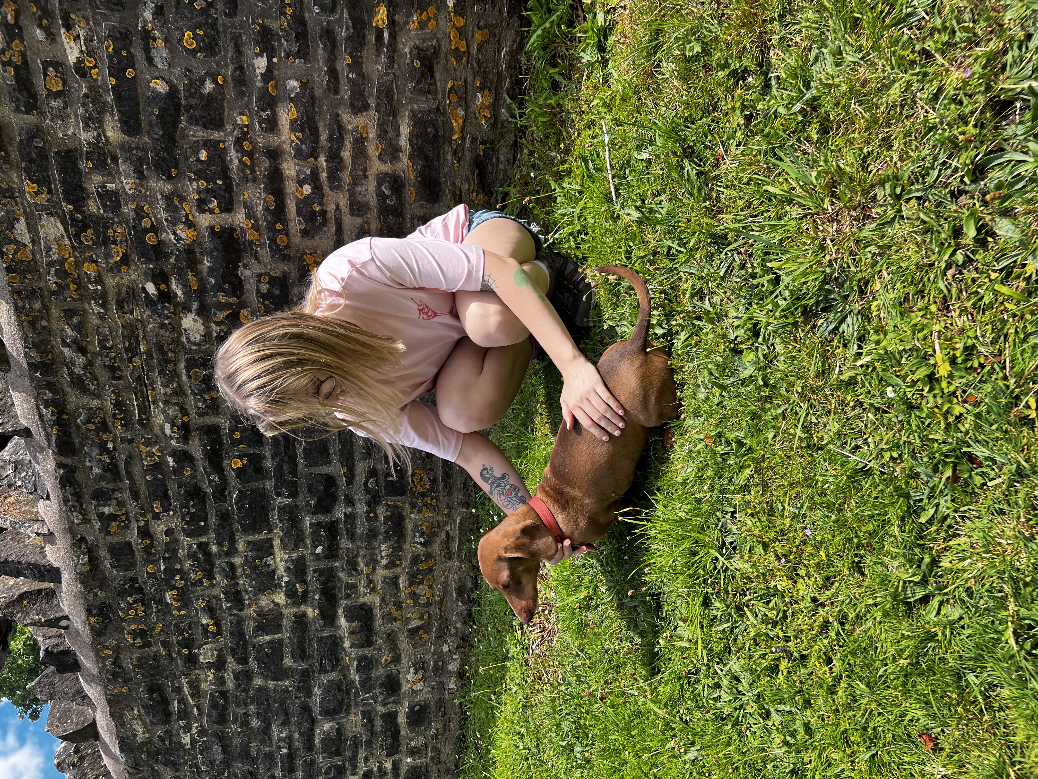 image-6