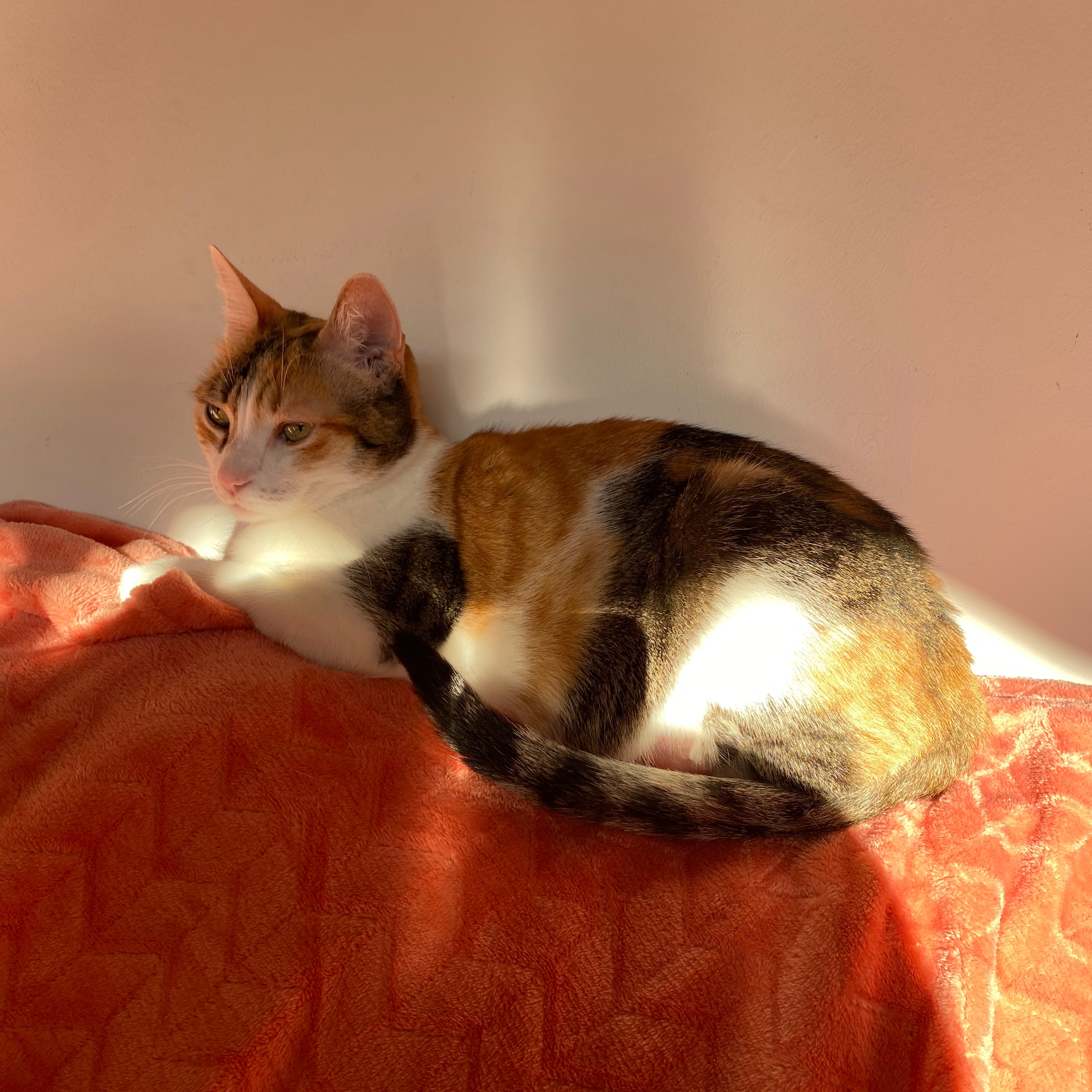 Nina
