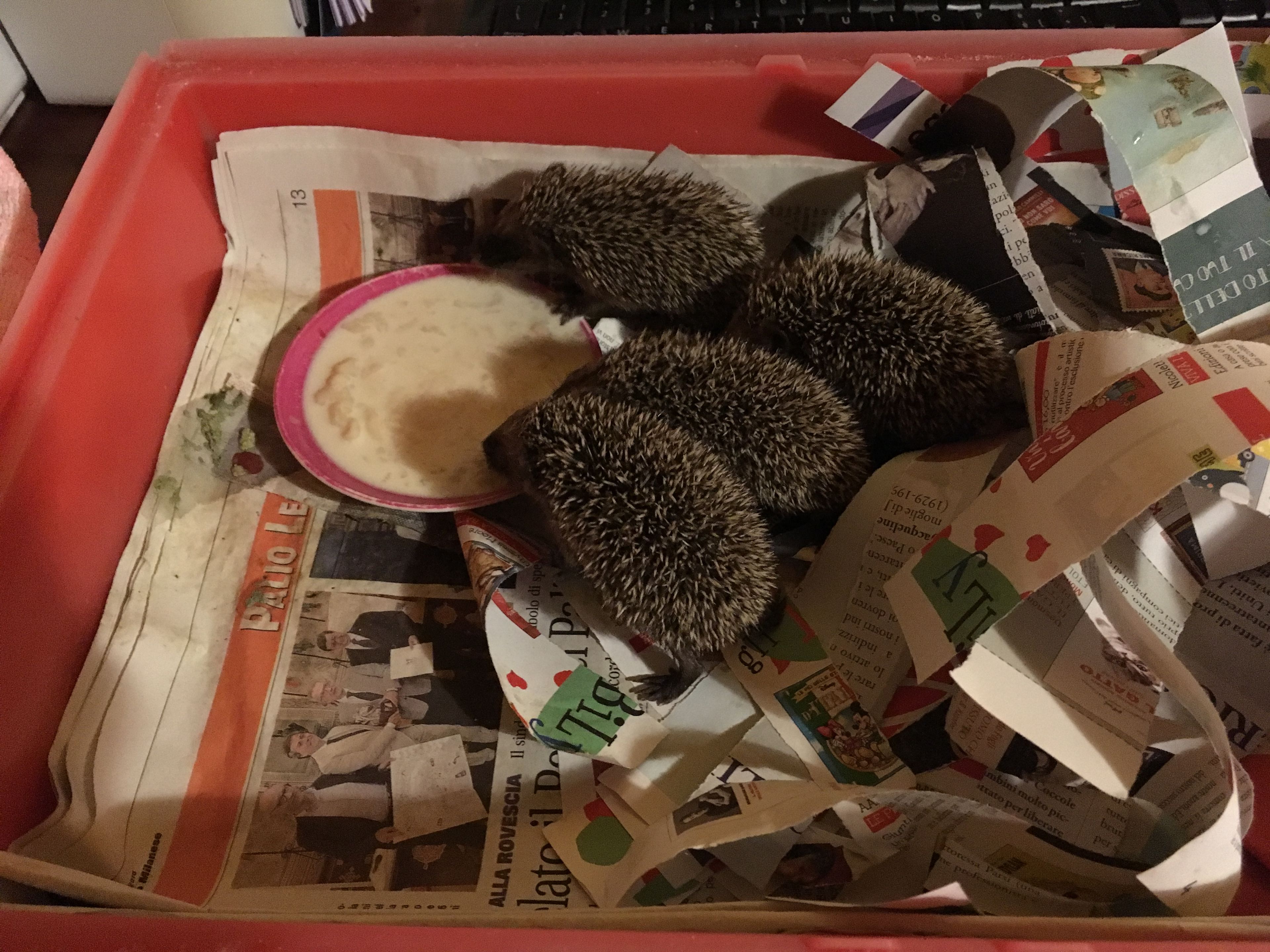 image-14