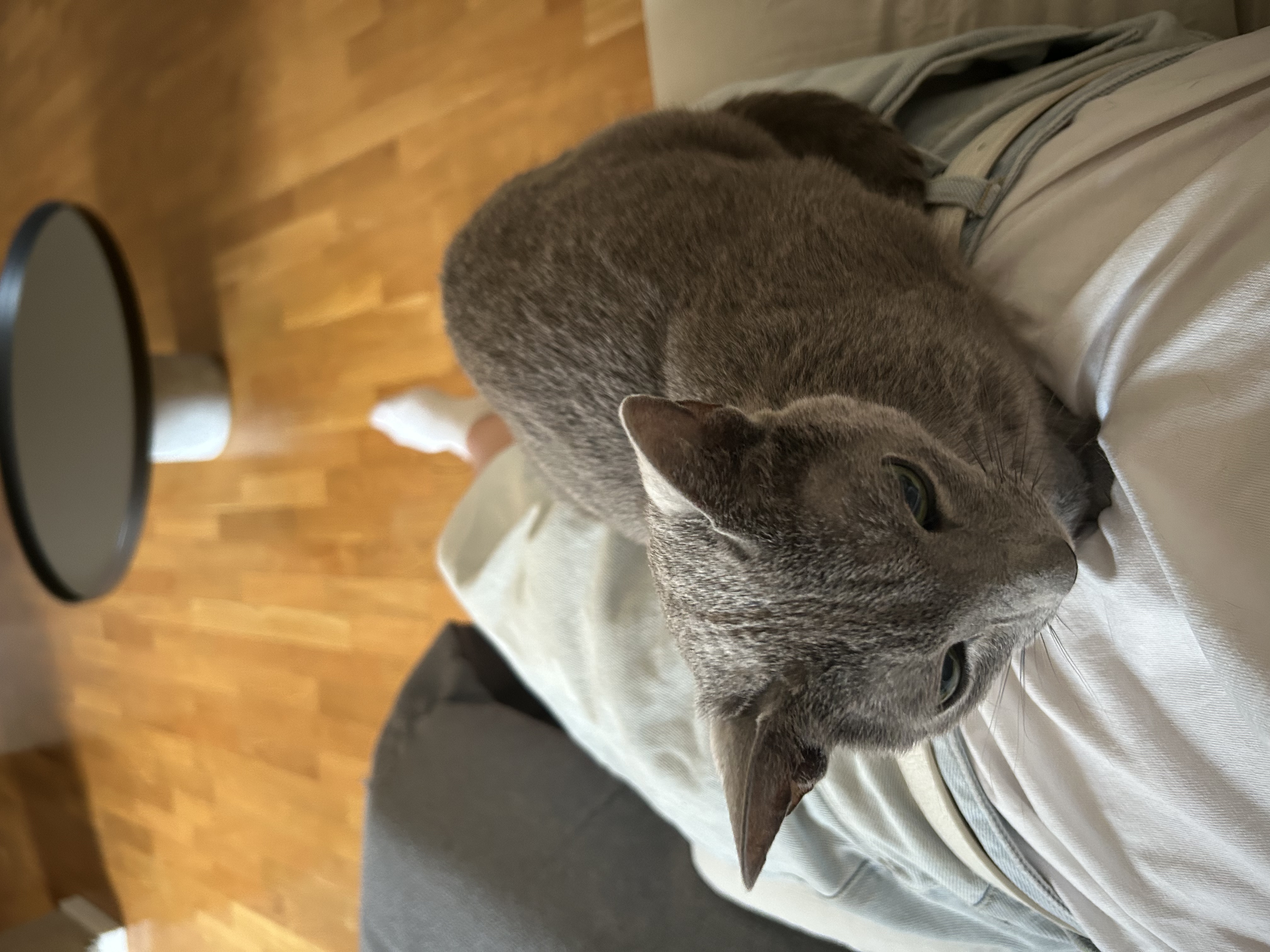 image-14