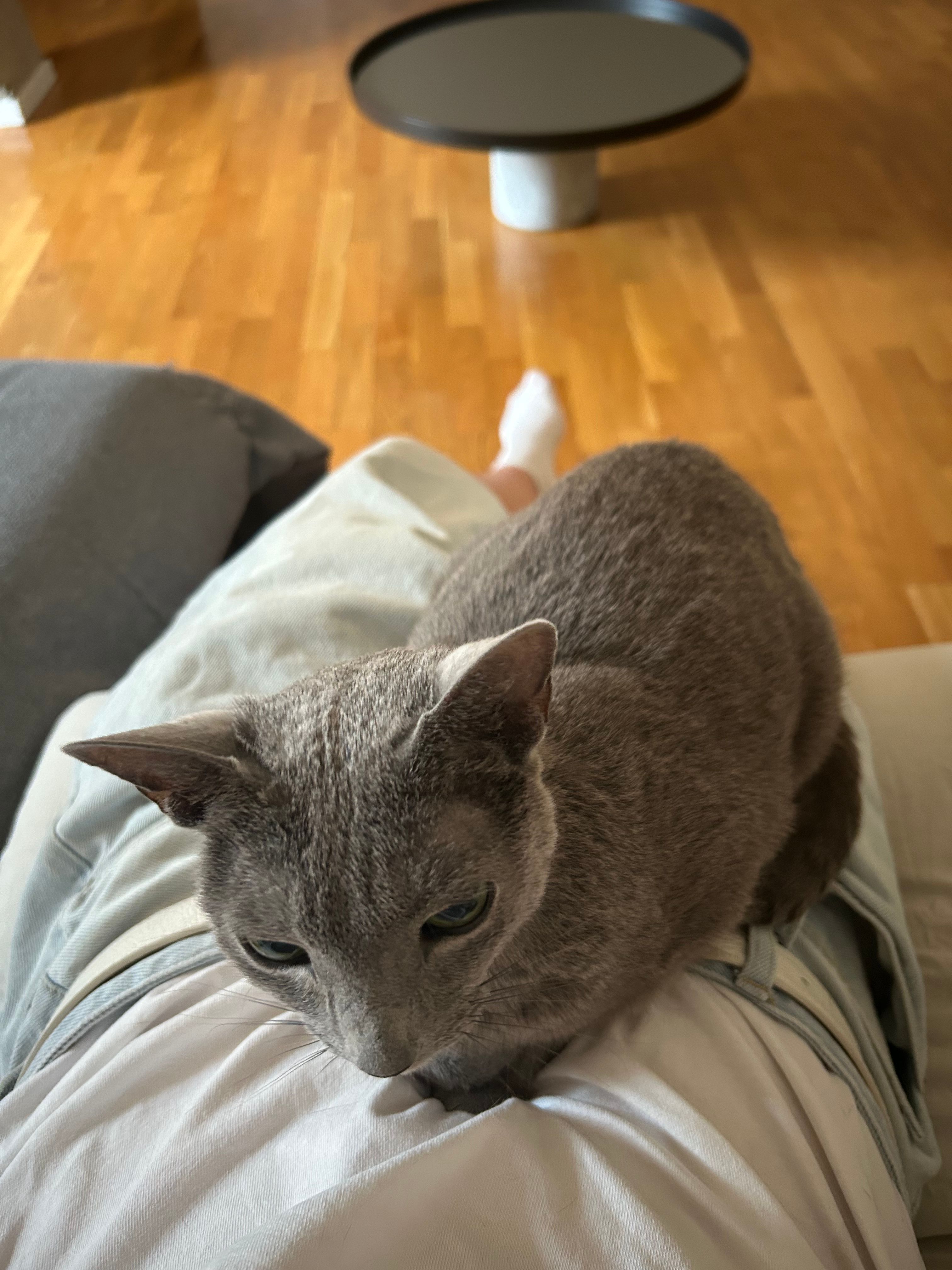 image-14