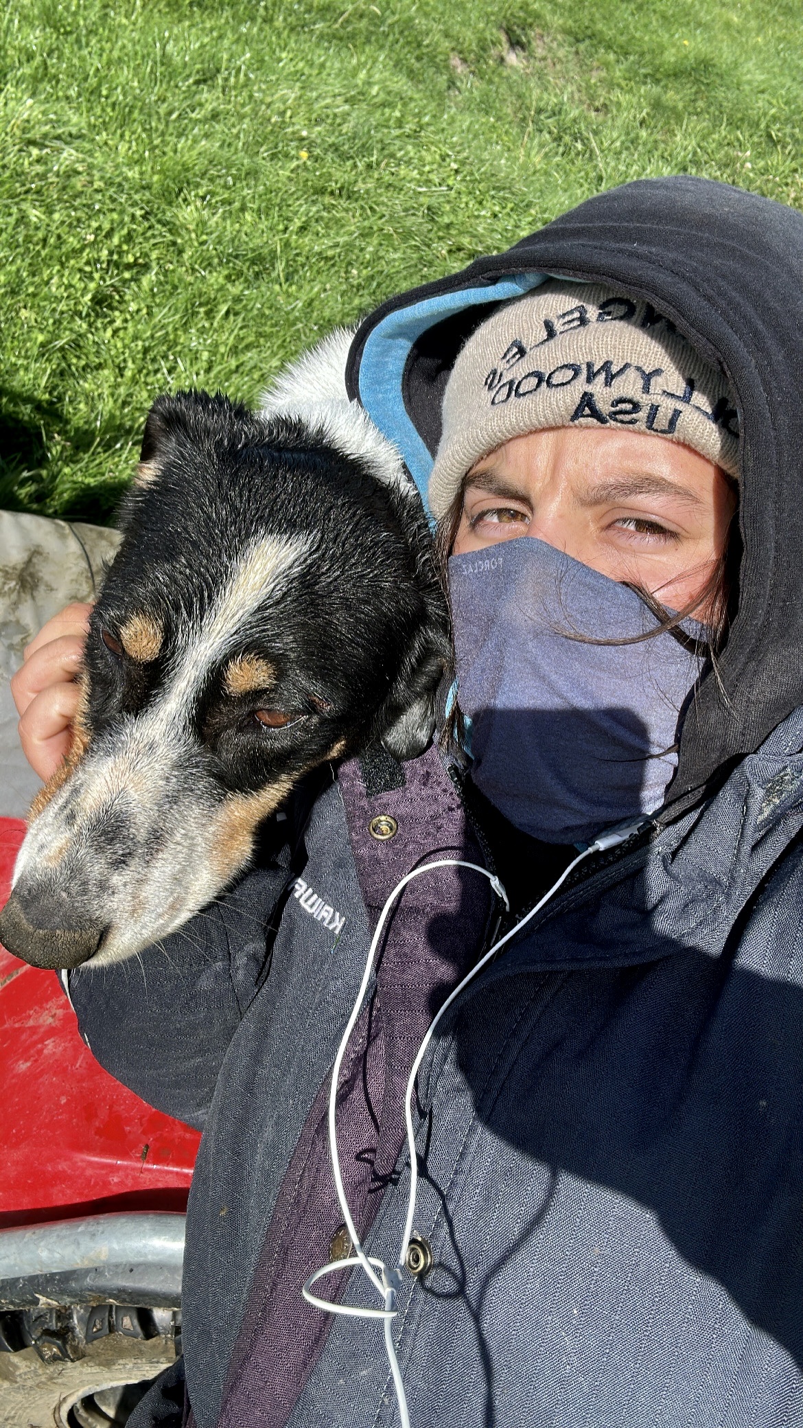 image-8