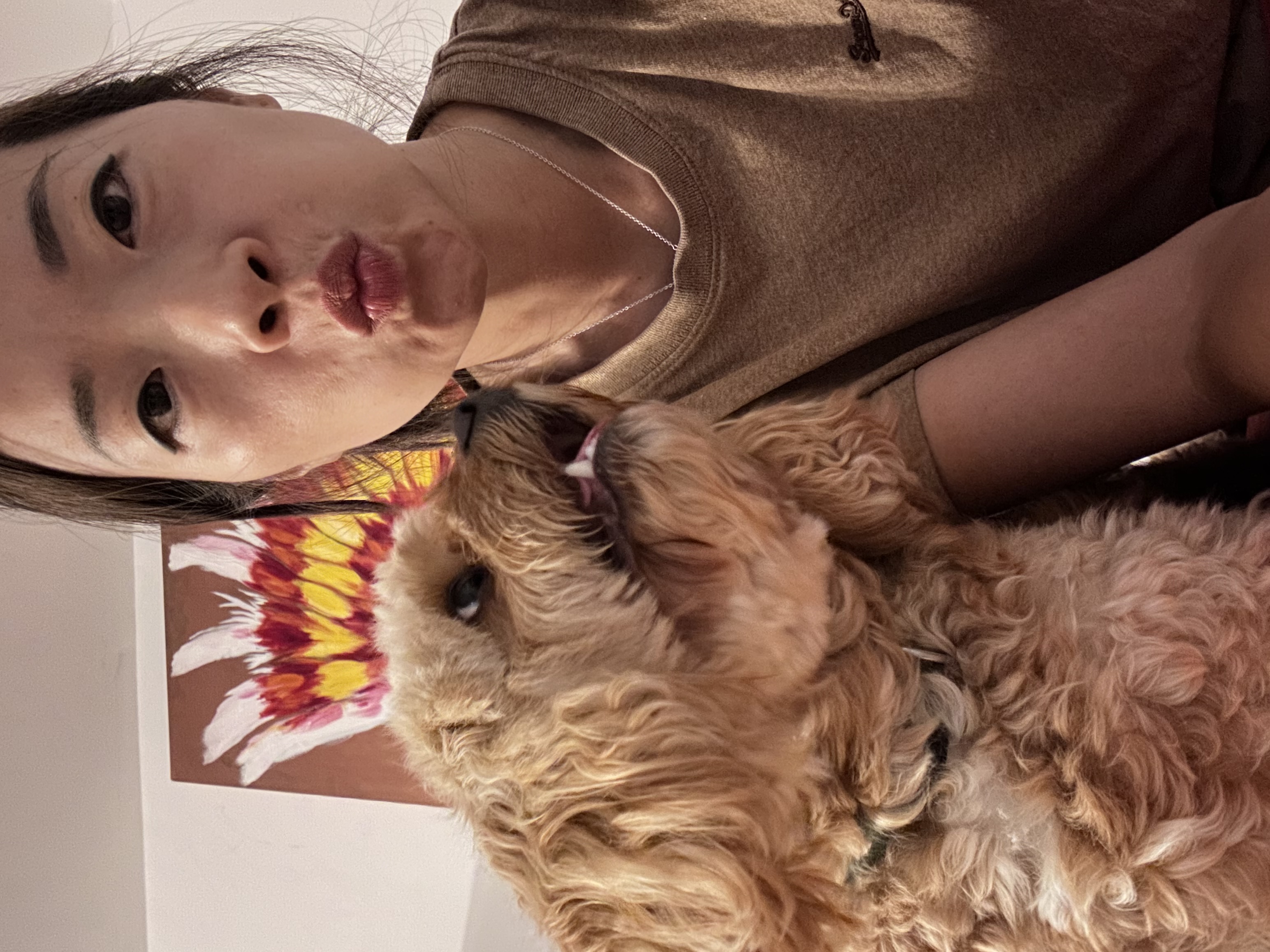 image-1