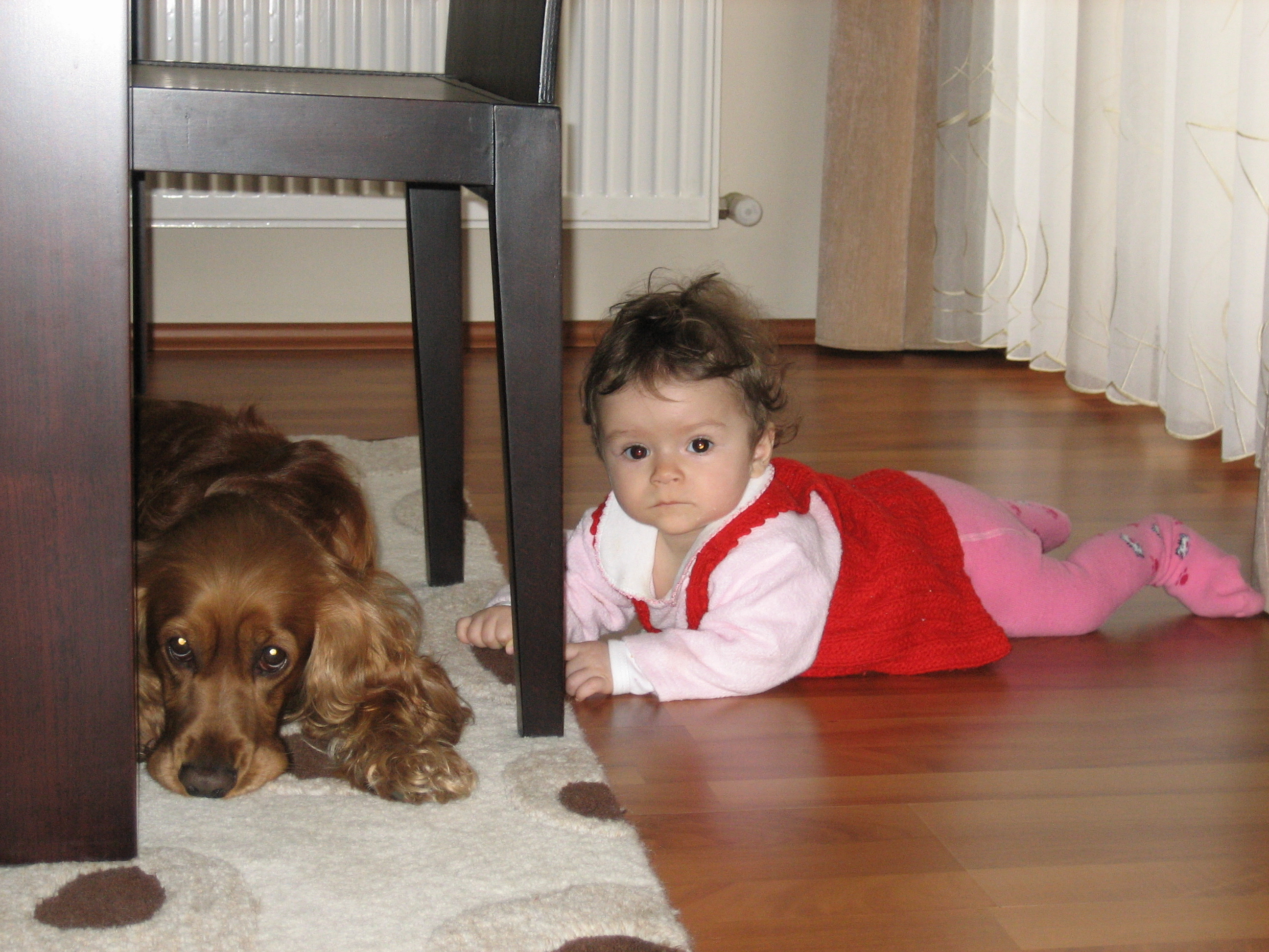 image-9