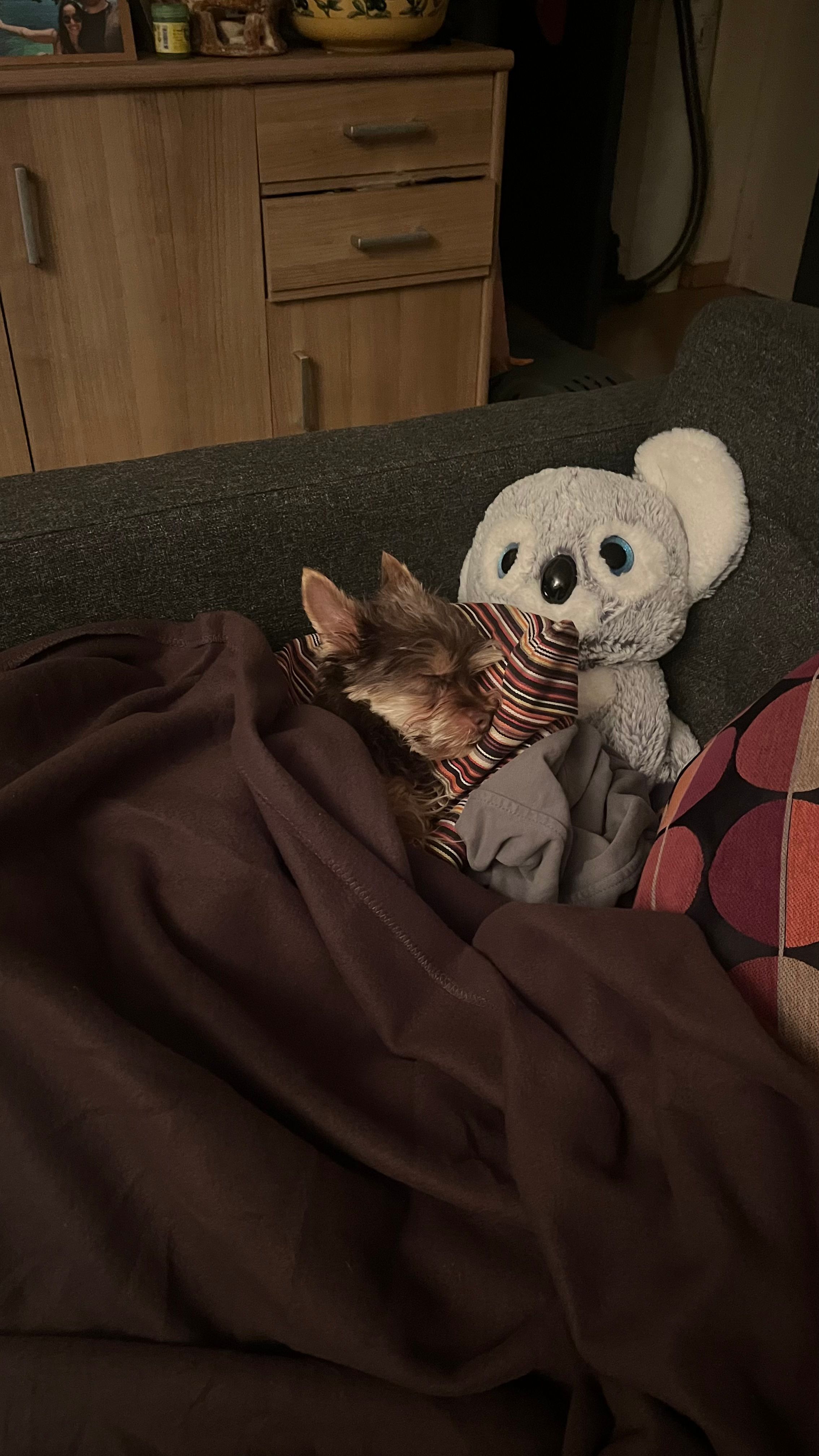 image-13