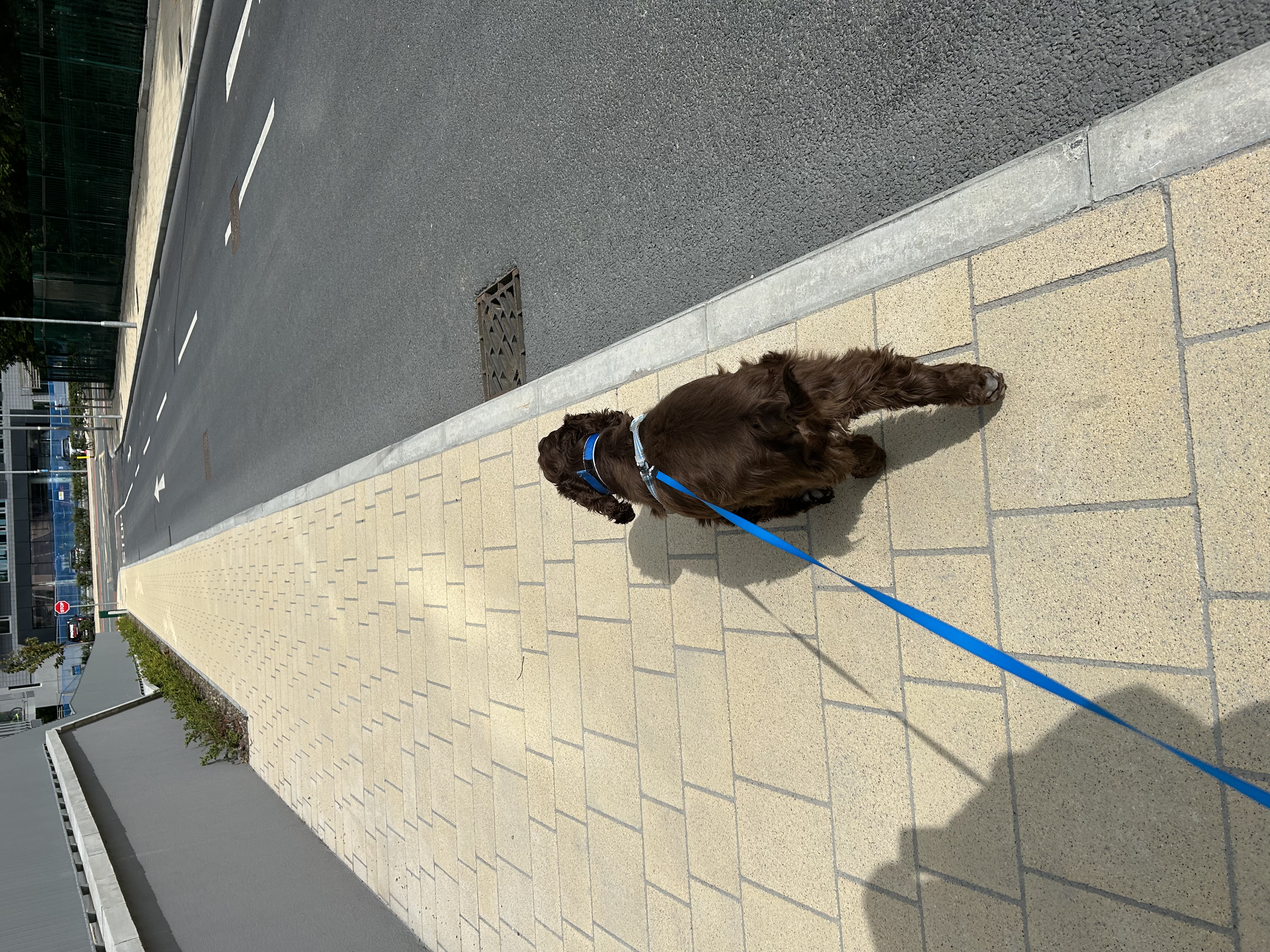 image-16