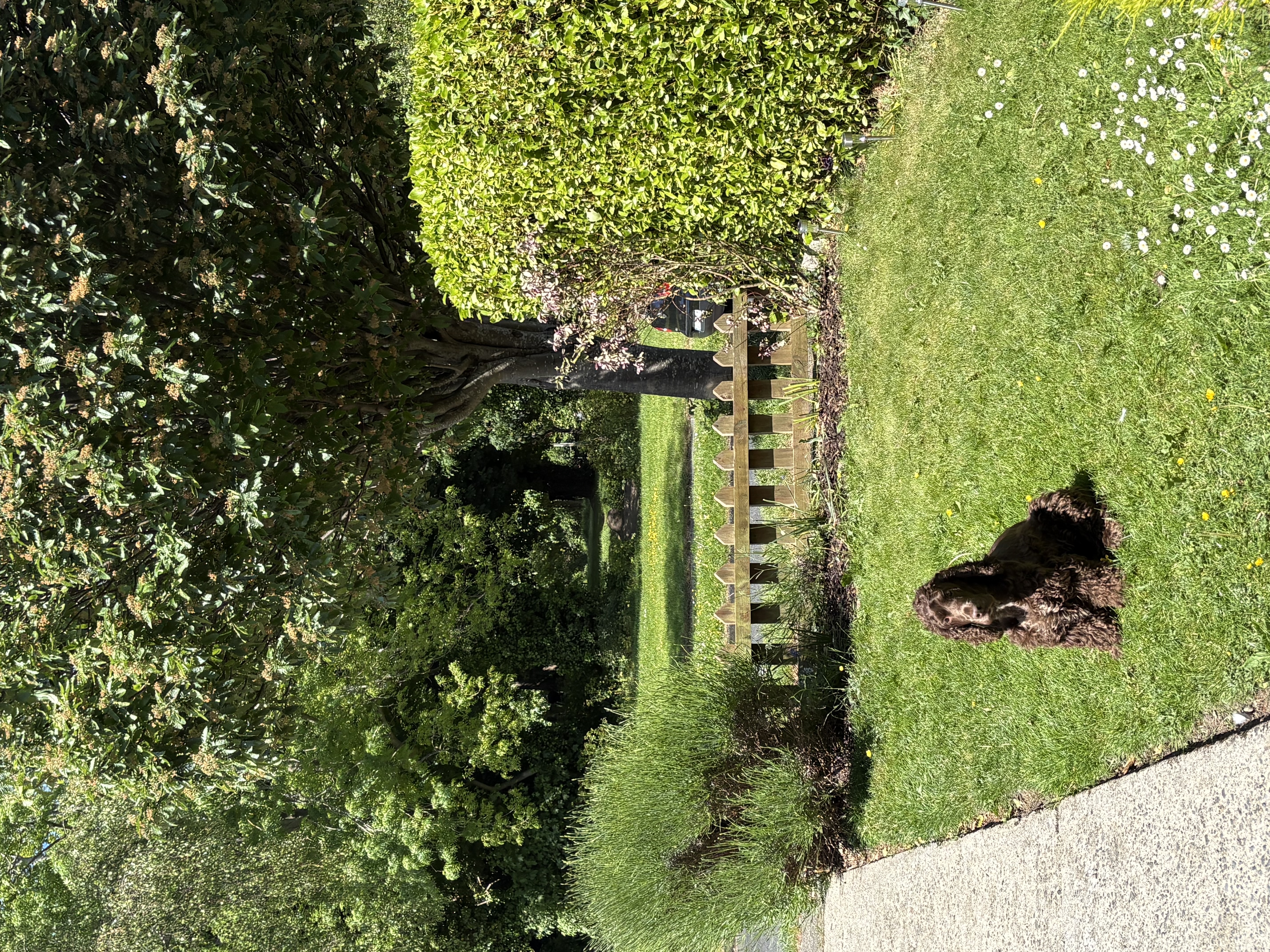 image-17