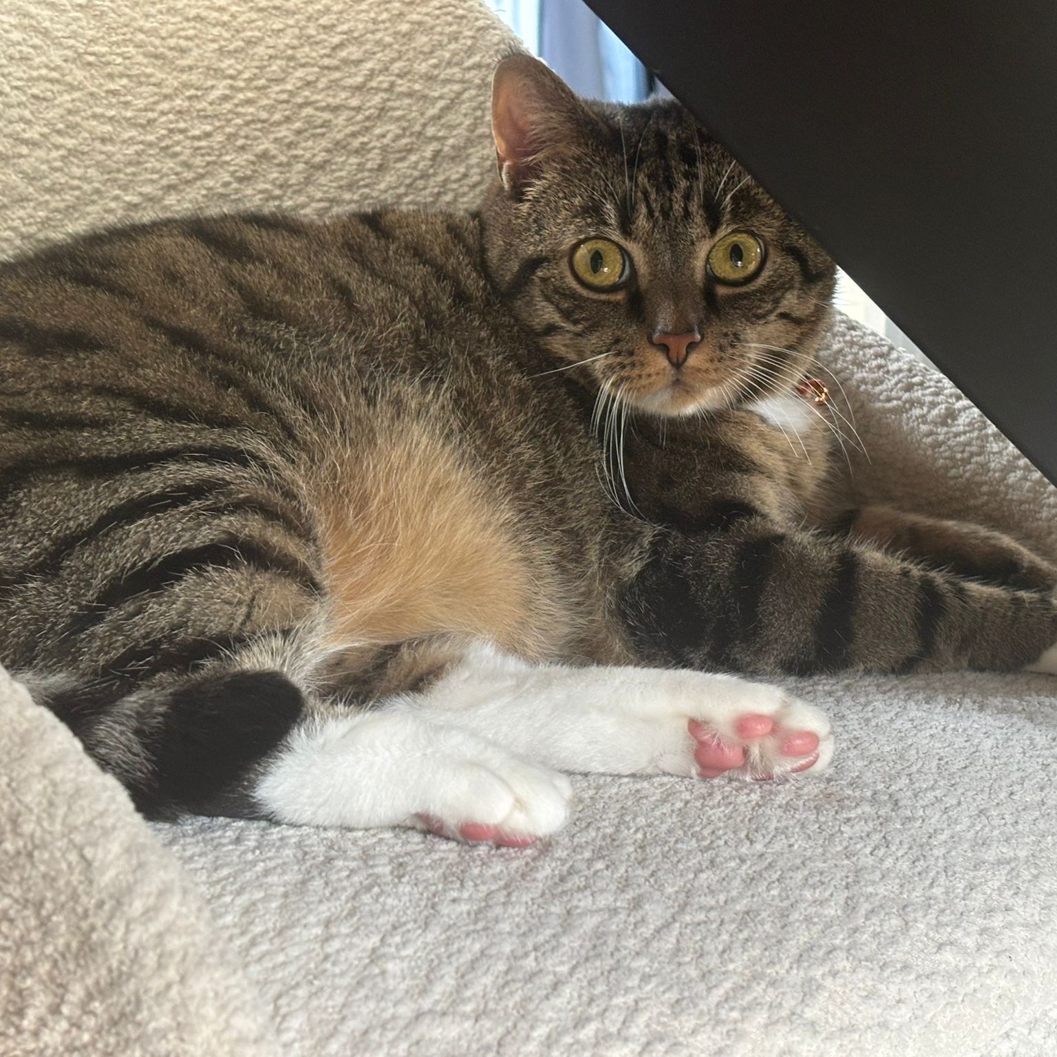 Heidi