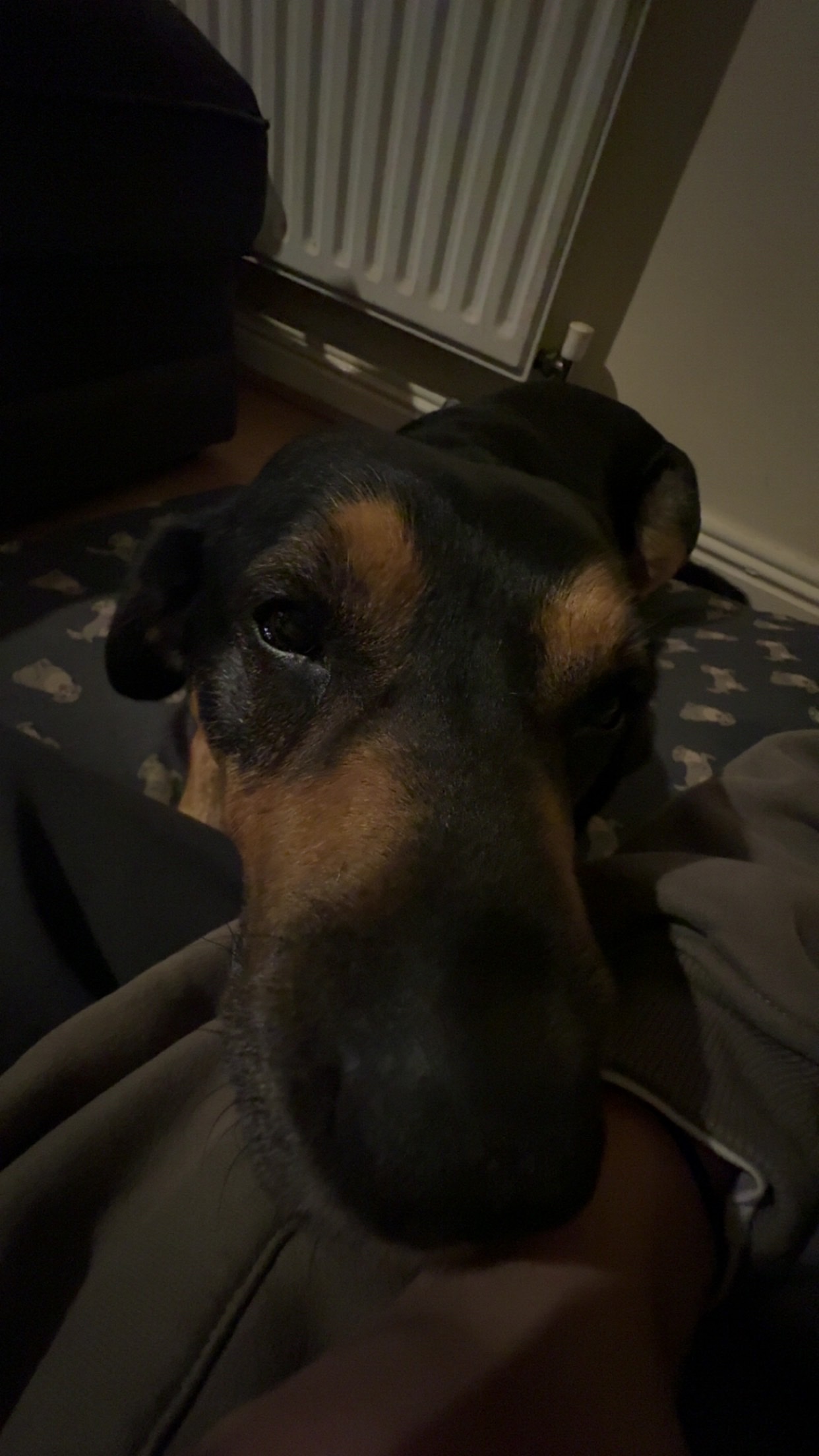 image-11