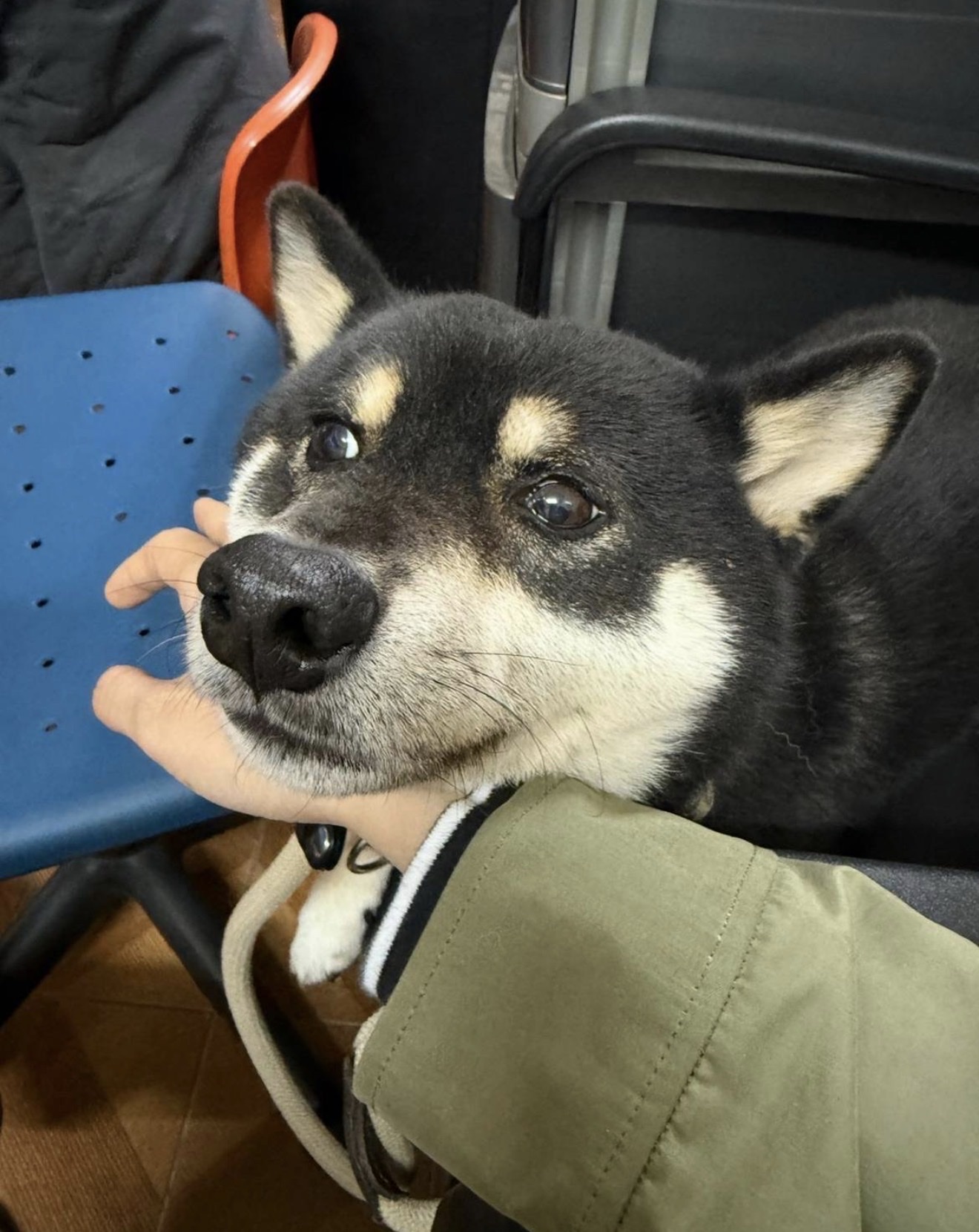 image-8
