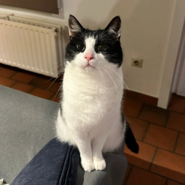 Billy